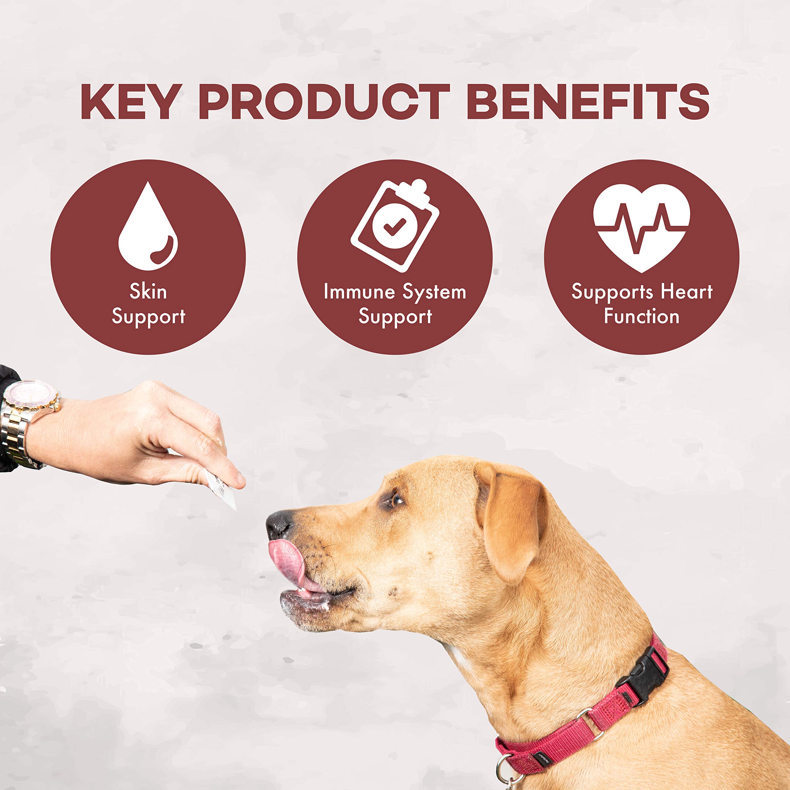 Foto 5 pulgar | Suplemento De Aceite De Pescado Coromega 3 Para Perros, 30 Paquetes - Venta Internacional.
