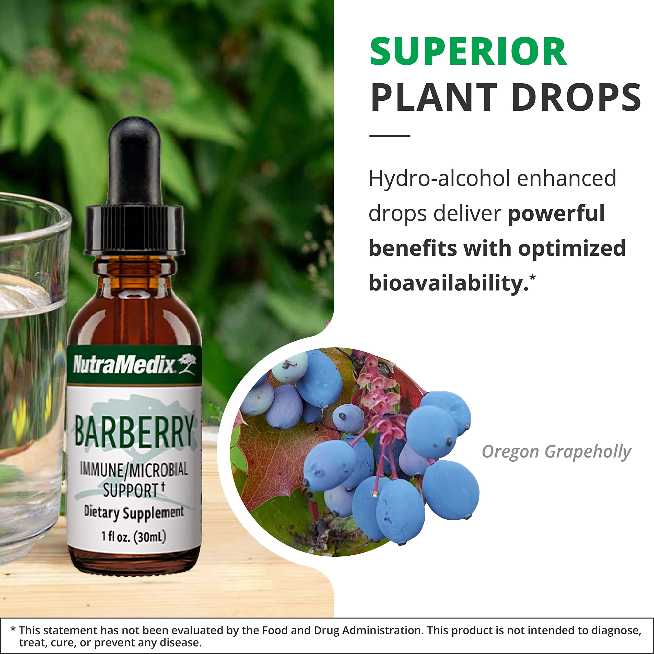 Foto 6 pulgar | Suplemento Nutramedix Barberry Immune Support 30 Ml - Venta Internacional.