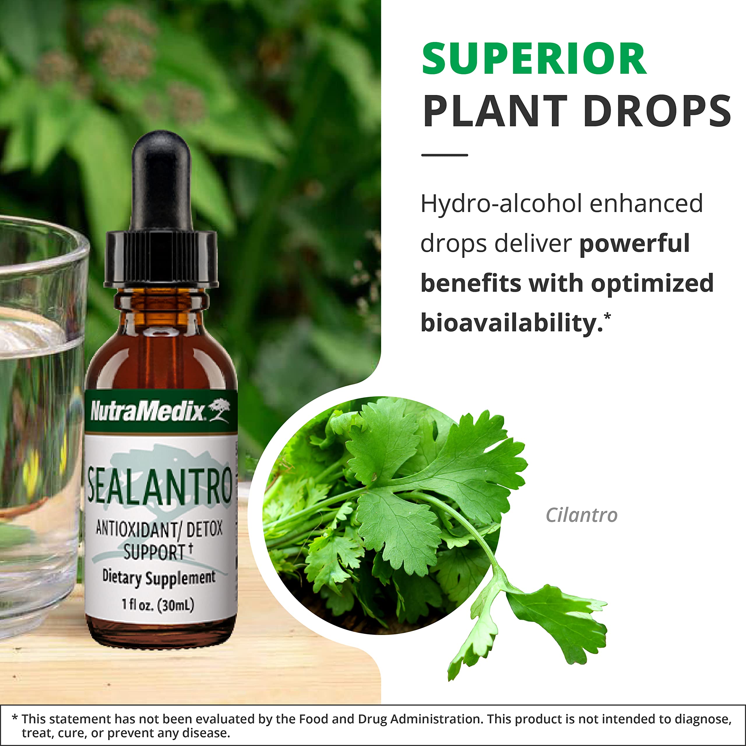 Foto 6 pulgar | Suplemento Nutramedix Sealantro Body Detox Con Antioxidantes 30 Ml - Venta Internacional.