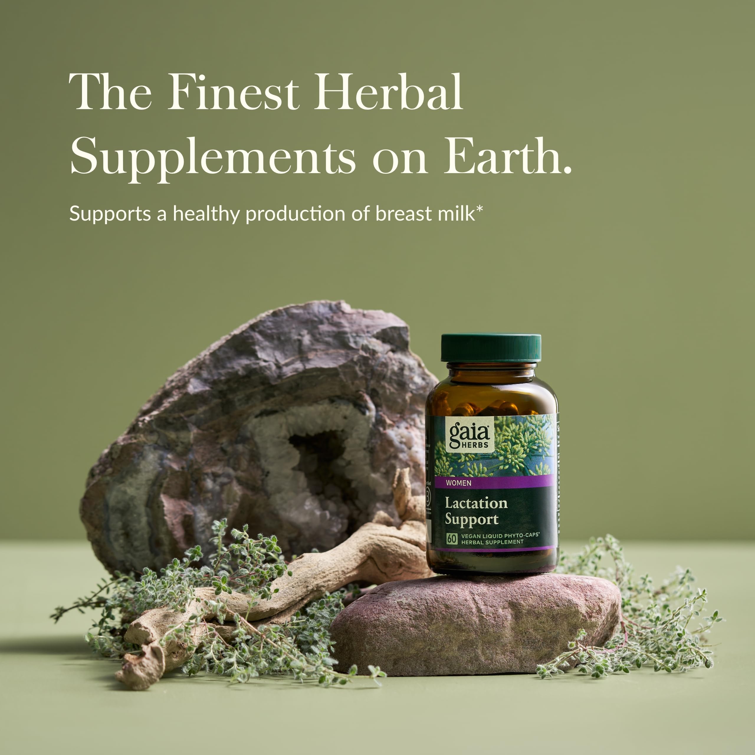 Foto 4 pulgar | Suplemento Gaia Herbs Lactation Support 120 Cápsulas Veganas - Venta Internacional.