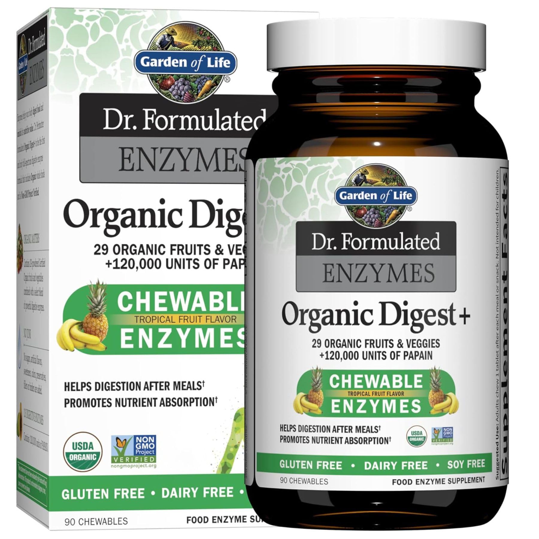 Foto 2 pulgar | Enzimas Digestivas Garden Of Life Dr Formuled Digest+ 90 Chew - Venta Internacional.