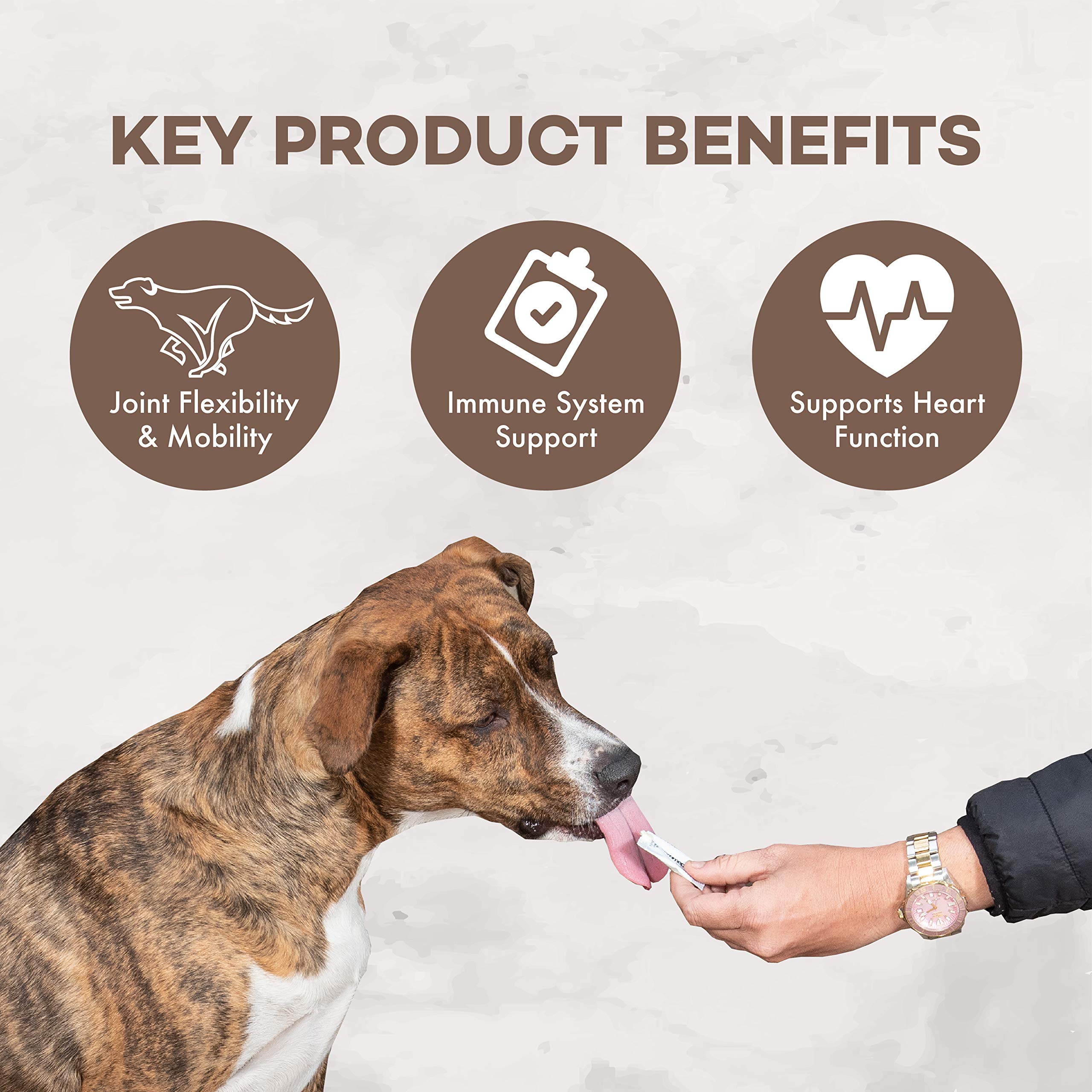 Foto 4 | Suplemento Coromega Omega-3 Mobility Pup Fish Oil, 30 Paquetes - Venta Internacional.