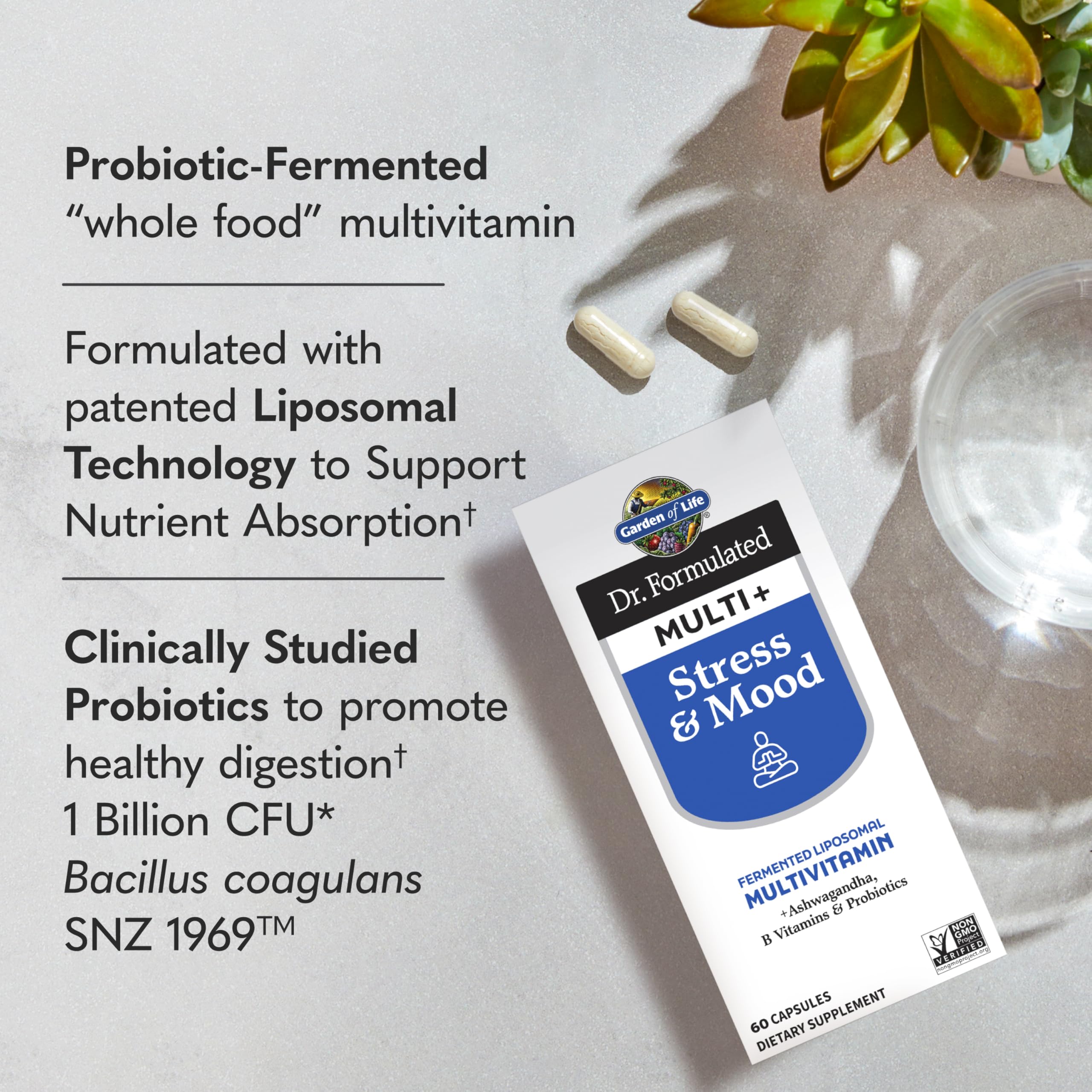 Foto 3 pulgar | Suplemento Garden Of Life Dr. Formulated Multi+ Stress & Mood 60 Cápsulas - Venta Internacional.