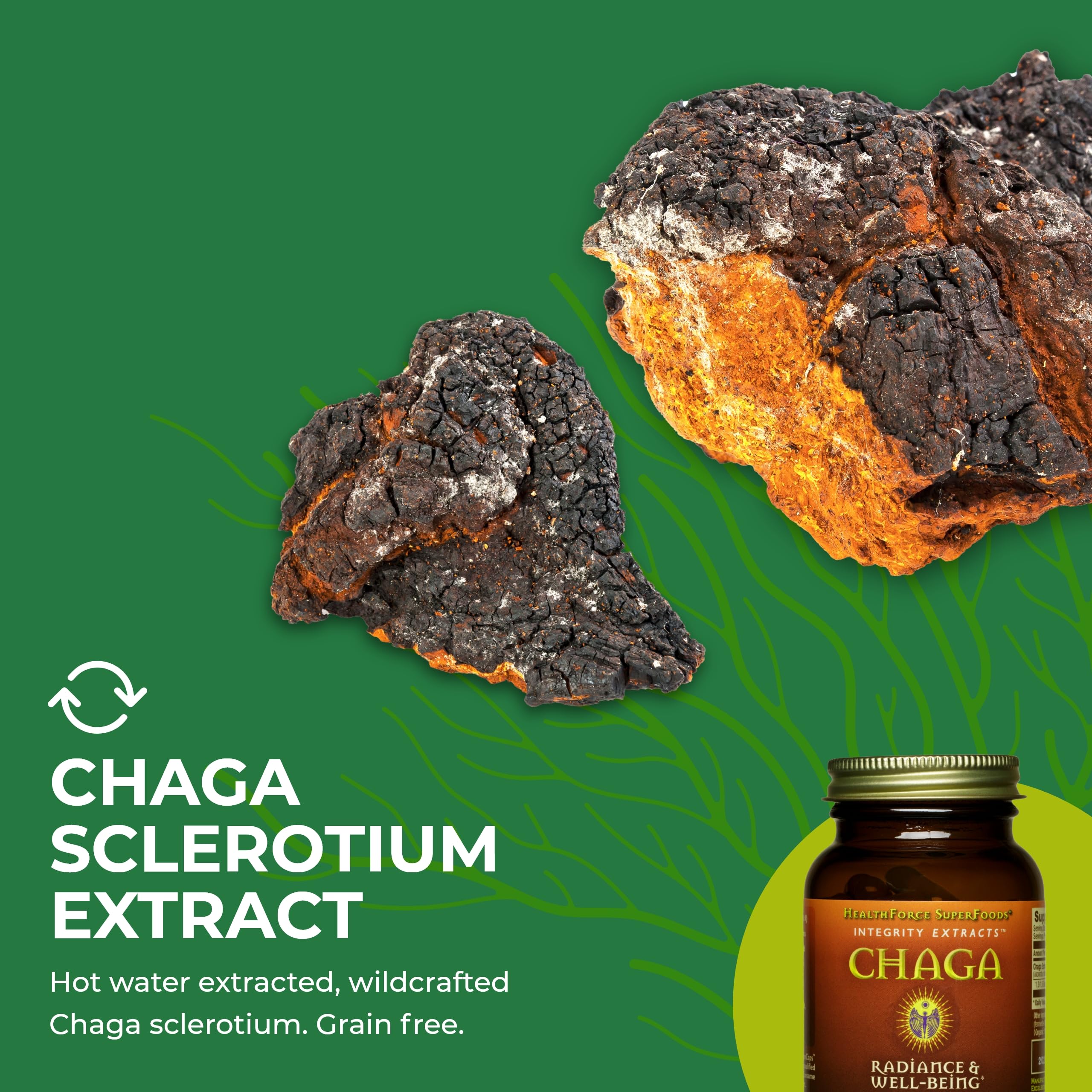 Foto 7 pulgar | Suplemento Healthforce Superfoods Integrity Extracts Chaga 150 G - Venta Internacional.