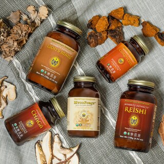 Foto 7 | Suplemento Healthforce Superfoods Integrity Extracts Chaga 150 G - Venta Internacional.