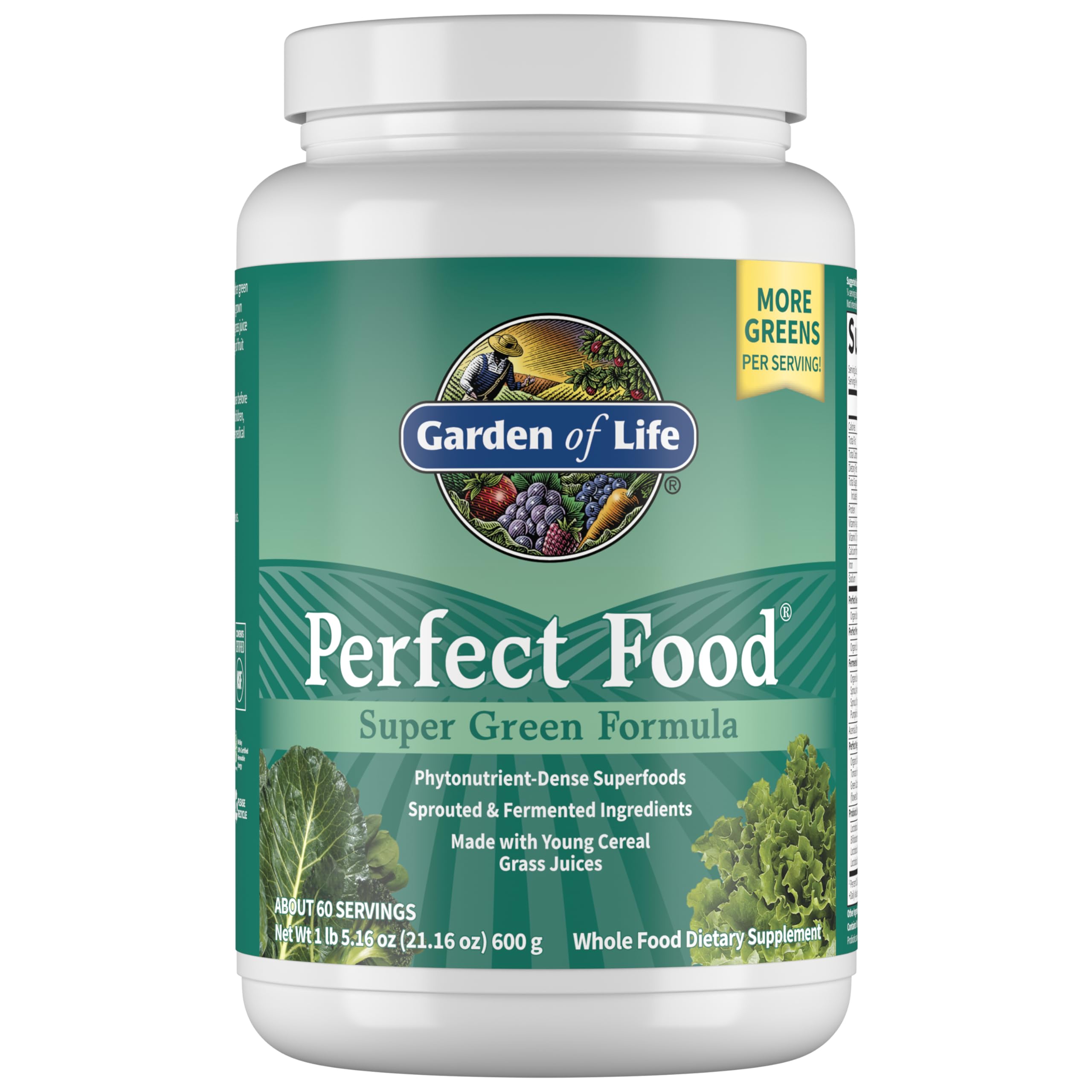Foto 2 pulgar | Suplemento Garden Of Life Perfect Food Green 600 G - Venta Internacional.