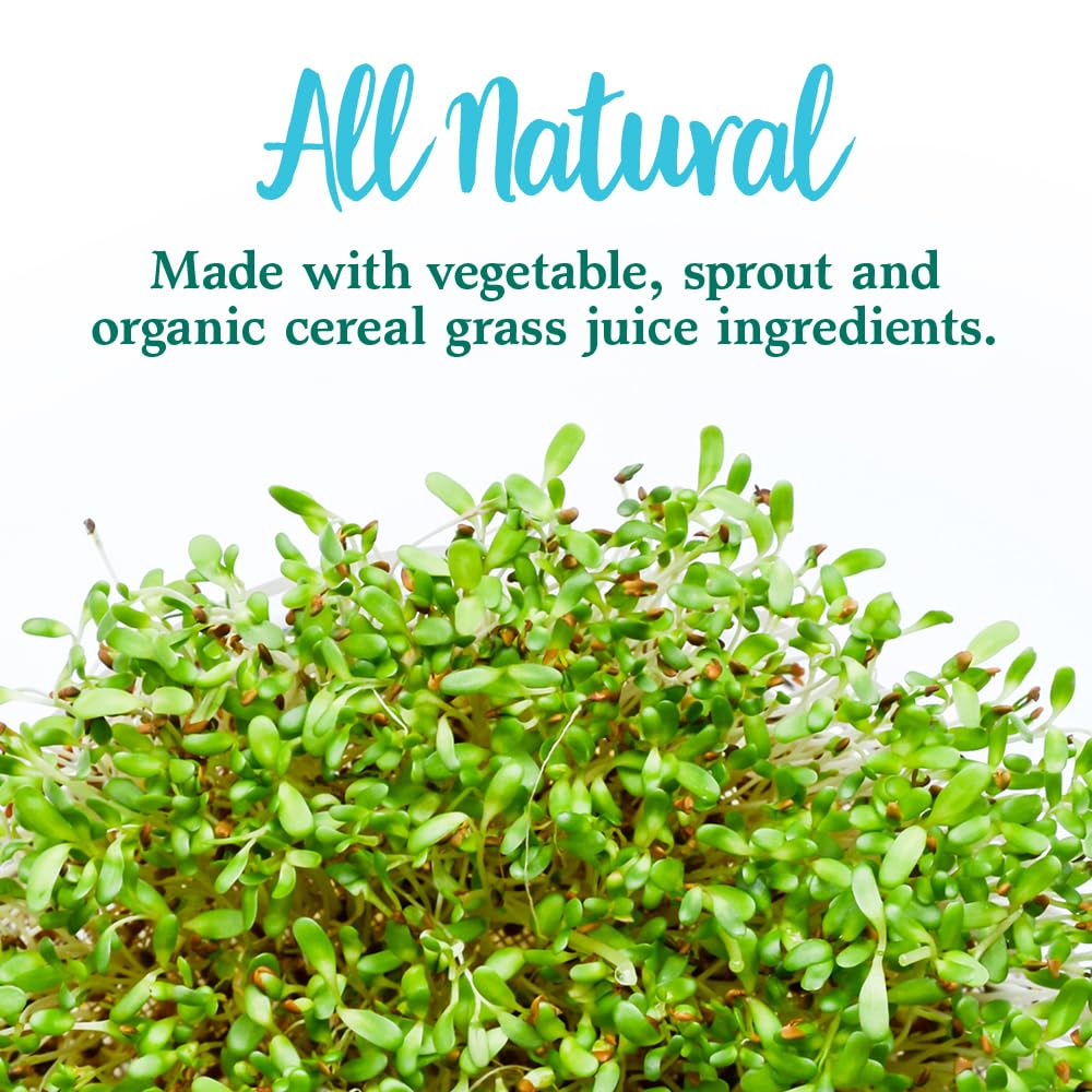 Foto 7 | Suplemento Garden Of Life Perfect Food Green 600 G - Venta Internacional.
