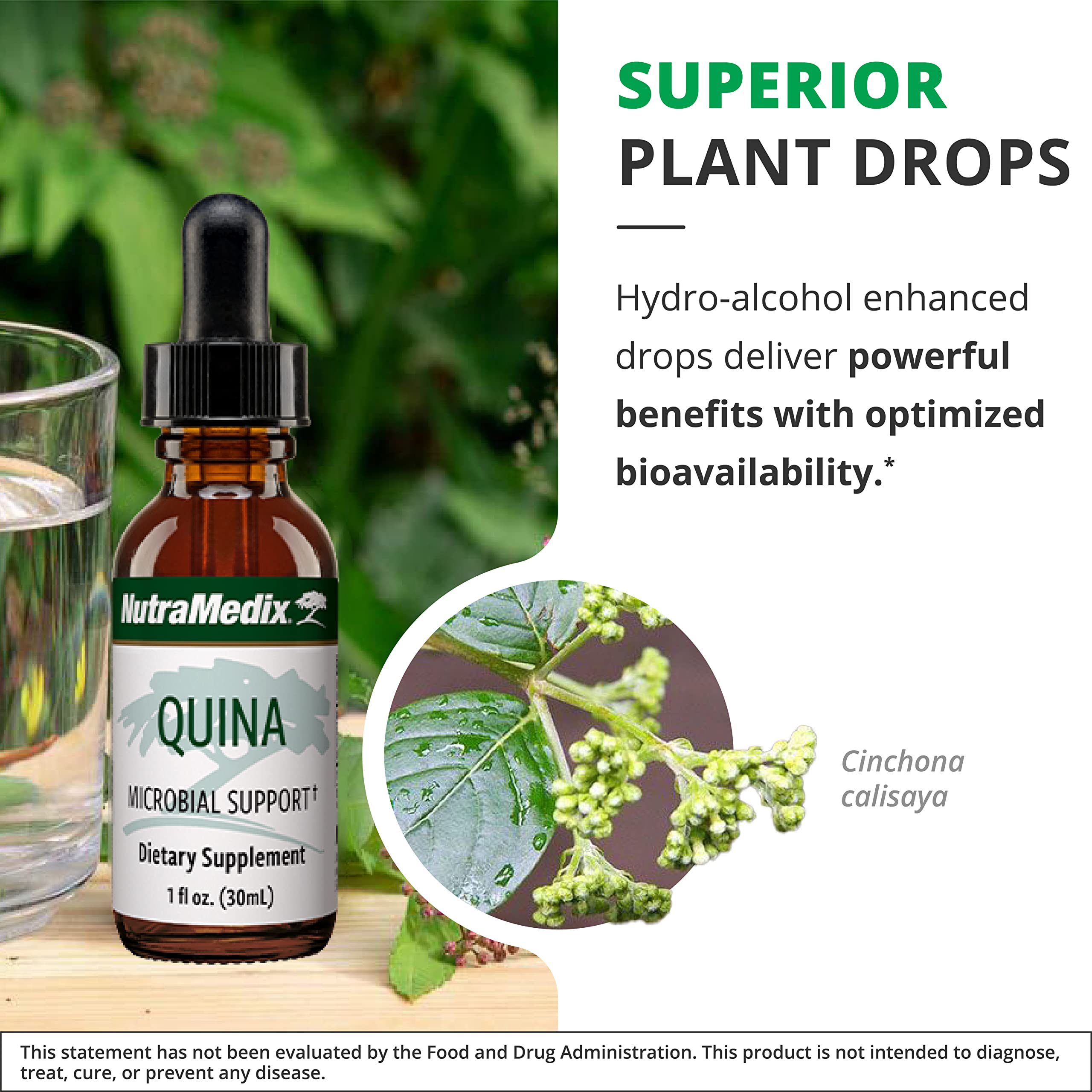 Foto 6 pulgar | Suplemento Nutramedix Quina Herbal Extract 30 Ml Daily Immune - Venta Internacional.