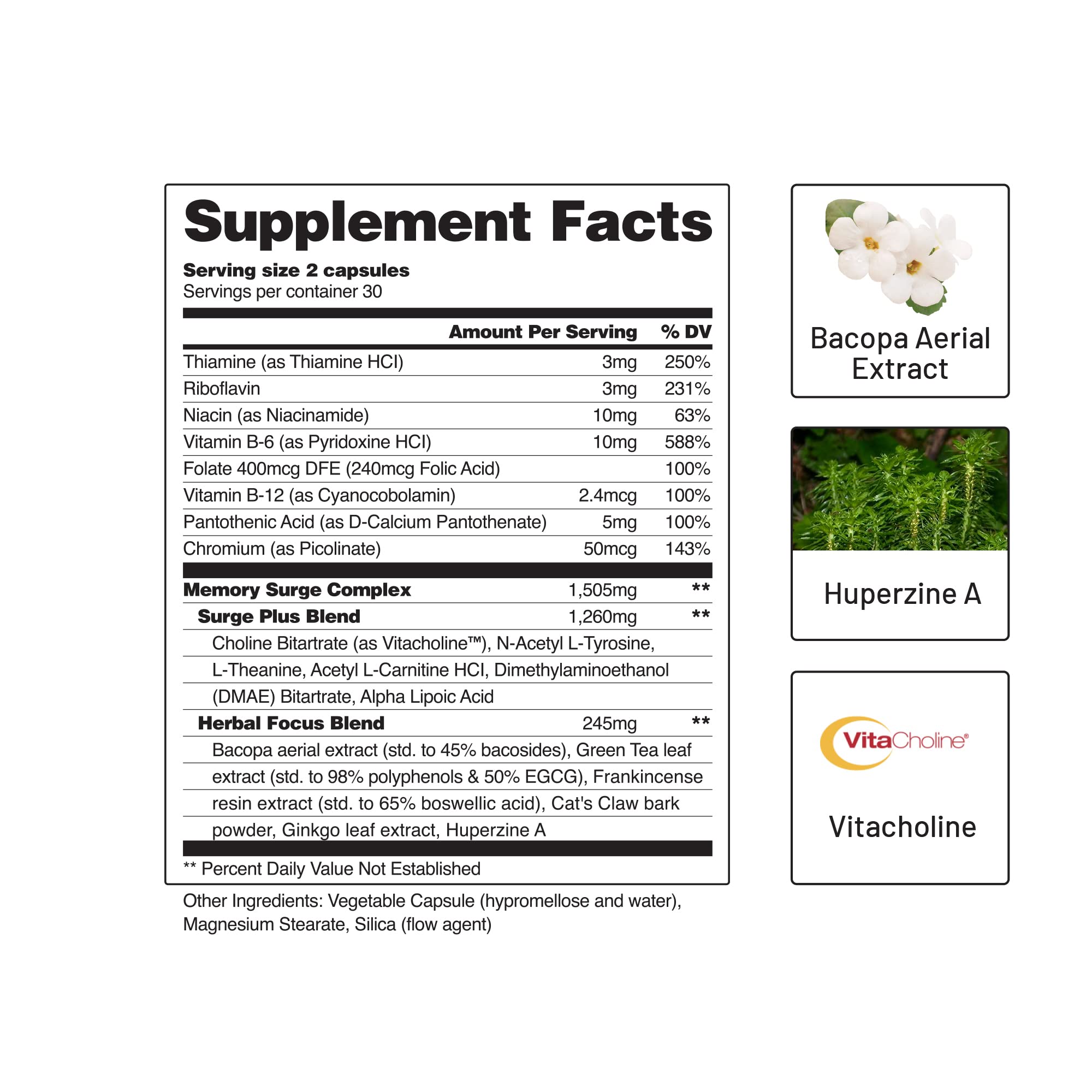 Foto 7 pulgar | Suplemento Snap Supplements Nootropics Brain Booster 60 Cápsulas - Venta Internacional.