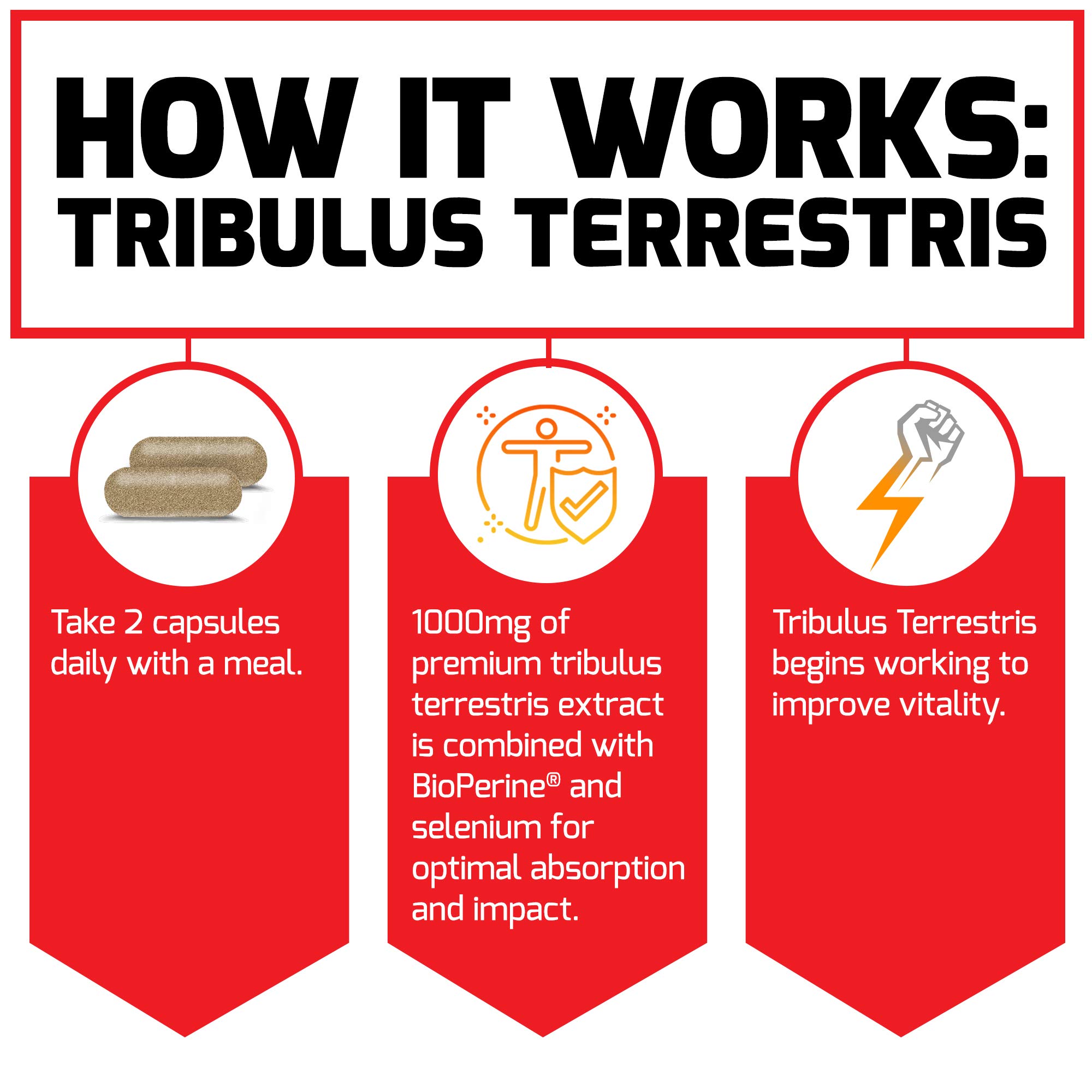 Foto 5 | Suplemento Force Factor Tribulus Terrestris 1000 Mg 60 Cápsulas - Venta Internacional.