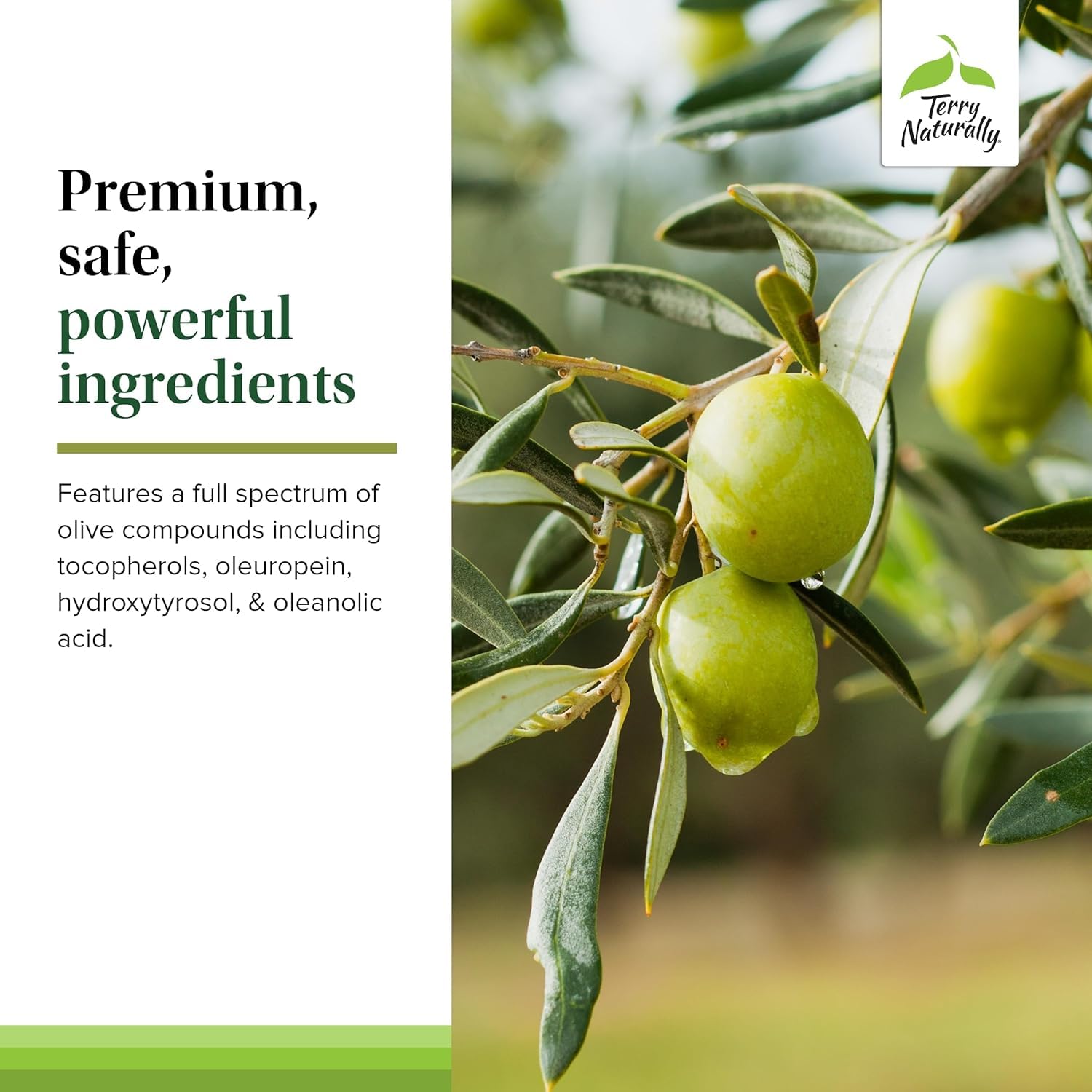 Foto 5 | Suplemento Terry Naturally Olive Extract Ep20 60 Cápsulas - Venta Internacional.