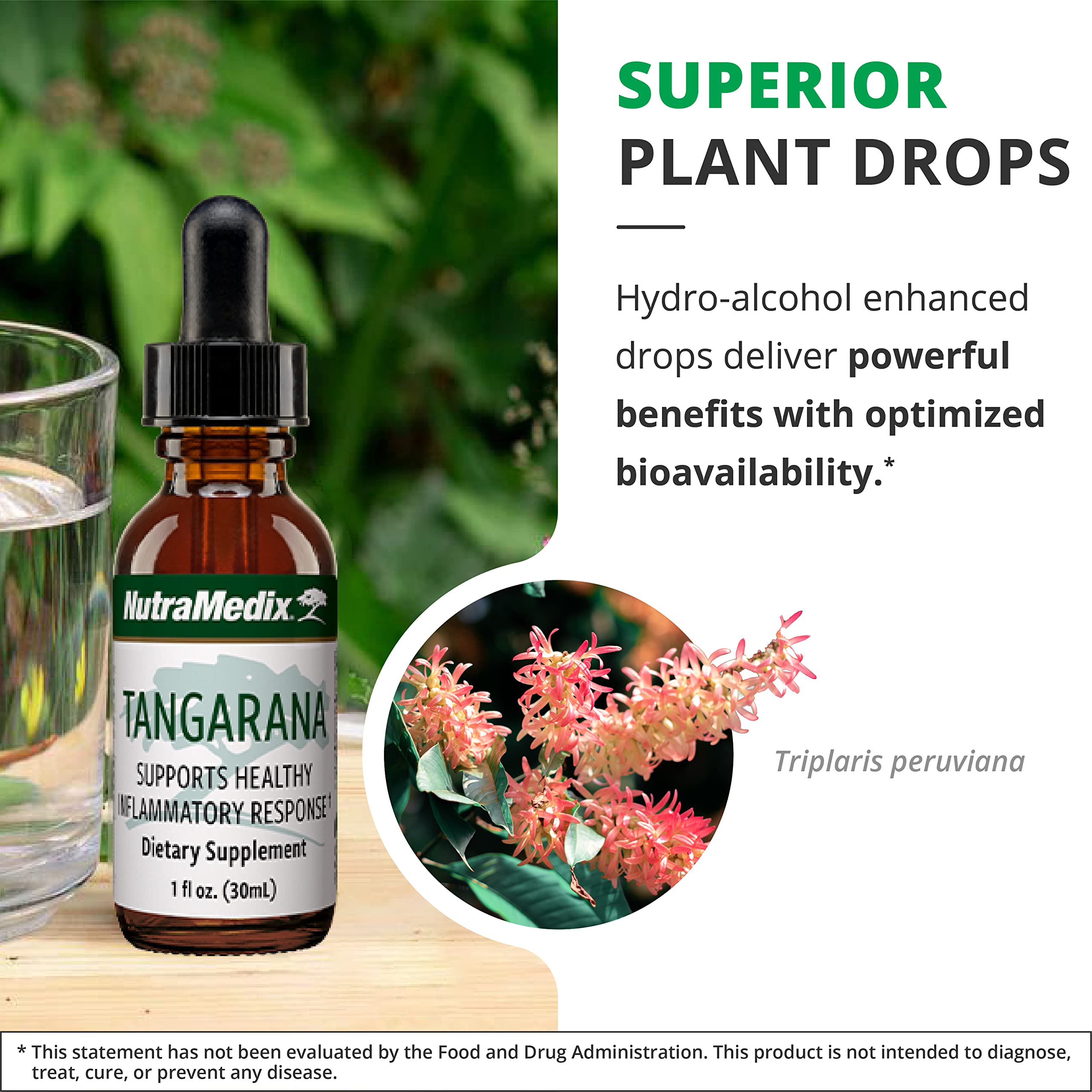 Foto 6 pulgar | Suplemento Nutramedix Extracto De Tangarana Palo Santo 30 Ml - Venta Internacional.