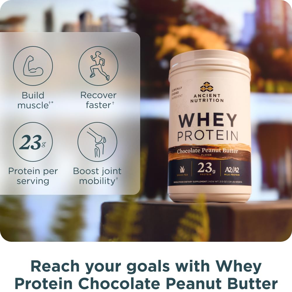 Foto 4 pulgar | Crema De Cacahuete Con Chocolate Whey Protein Ancient Nutrition, 18 Porciones - Venta Internacional.