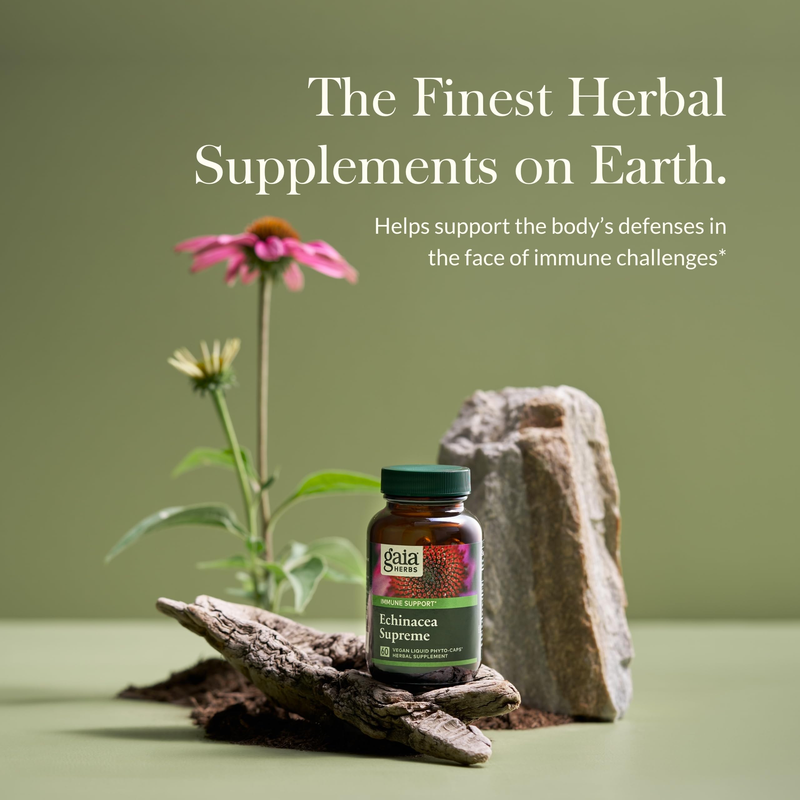 Foto 2 | Suplemento Gaia Herbs Echinacea Supreme 60 Cápsulas Veganas - Venta Internacional.
