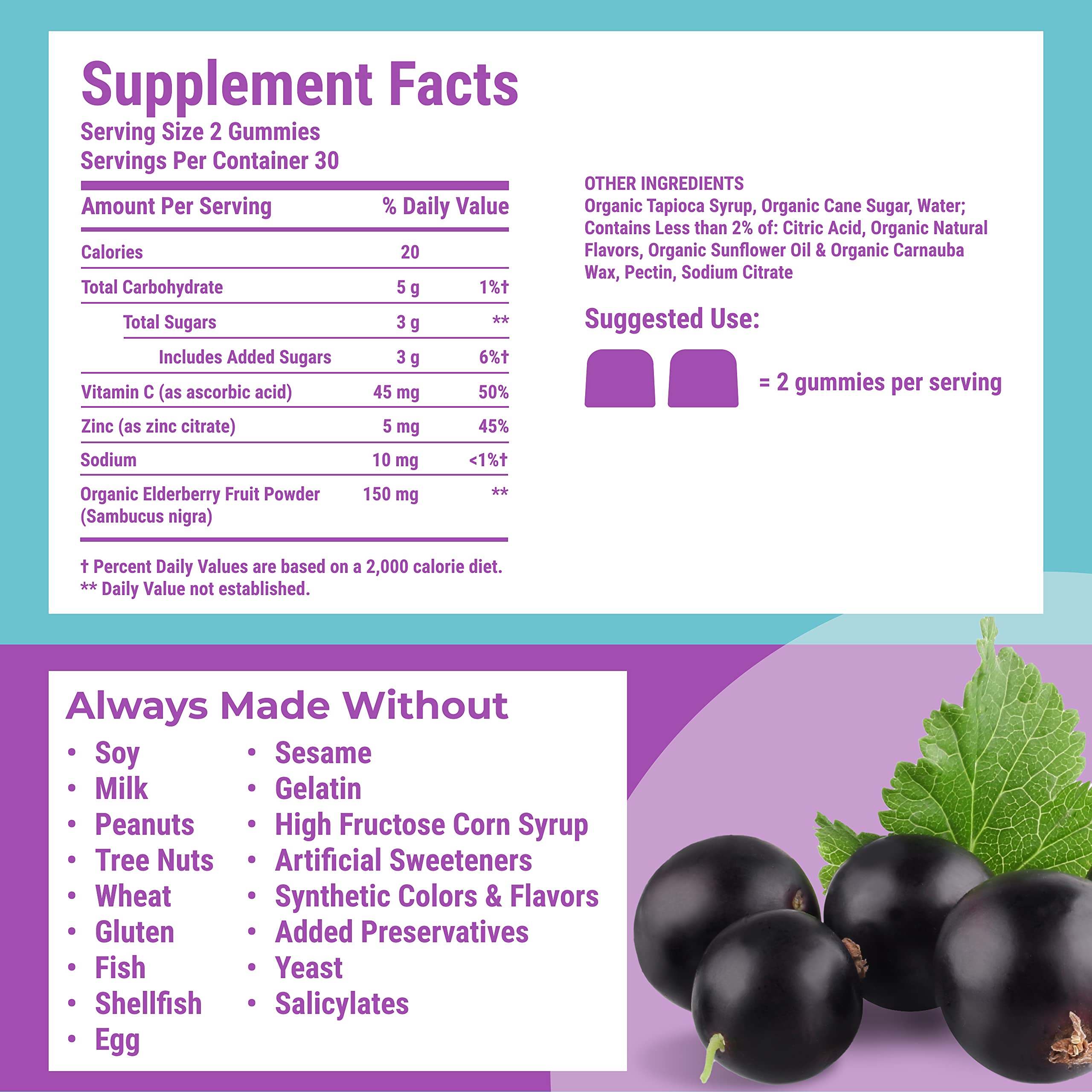 Foto 3 pulgar | Suplemento Hyland's Organic Elderberry Gomies 60 Vegan - Venta Internacional.