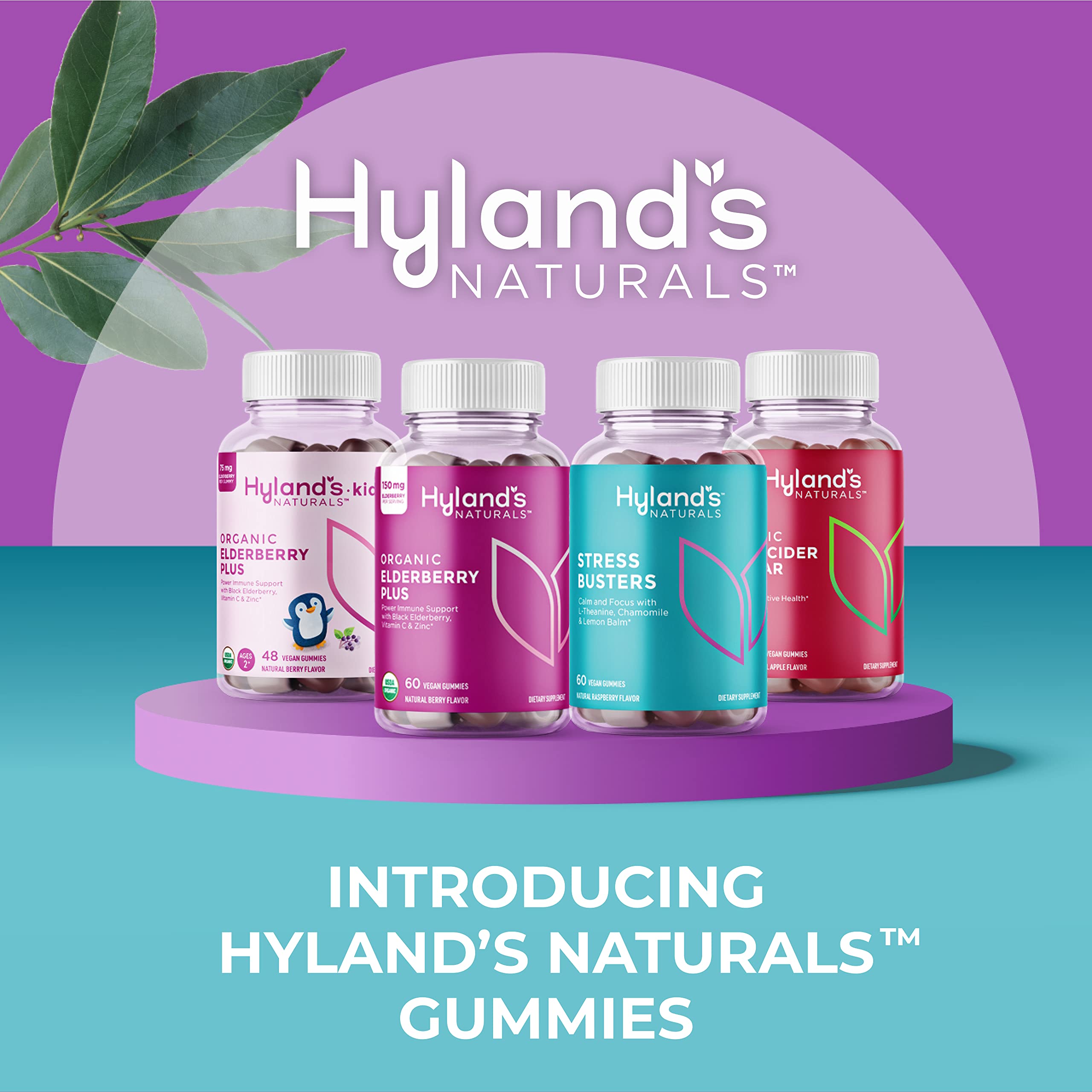 Foto 5 pulgar | Suplemento Hyland's Organic Elderberry Gomies 60 Vegan - Venta Internacional.