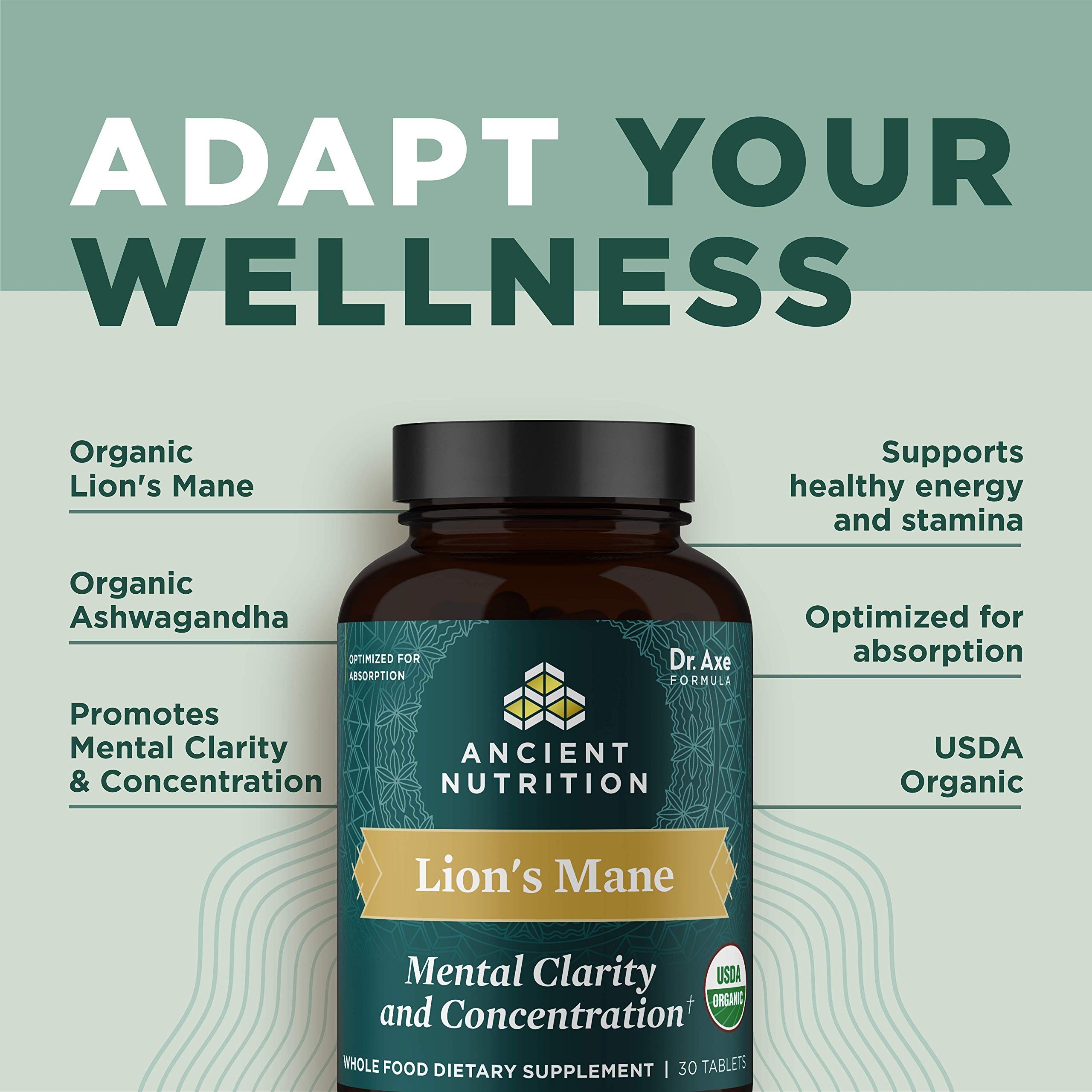 Foto 5 pulgar | Suplemento Ancient Nutrition Organic Lion's Mane 30 Comprimidos - Venta Internacional.
