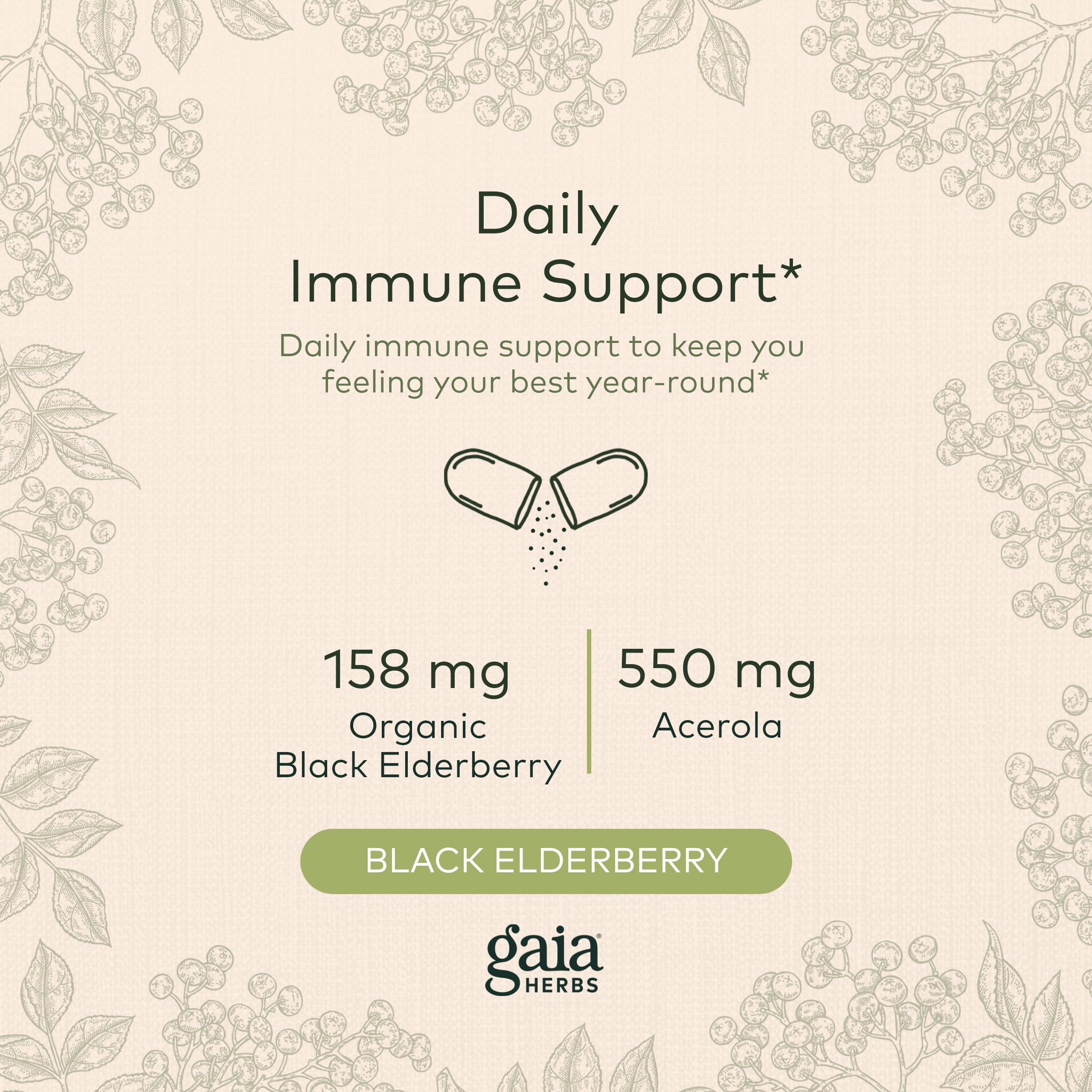 Foto 3 | Suplemento Gaia Herbs Black Elderberry 120 Cápsulas Veganas - Venta Internacional.
