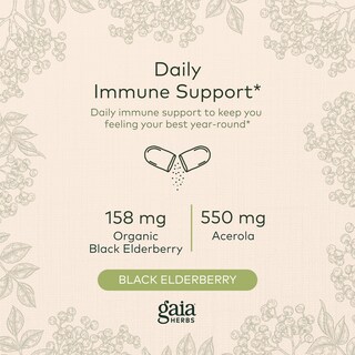Foto 3 | Suplemento Gaia Herbs Black Elderberry 120 Cápsulas Veganas - Venta Internacional.