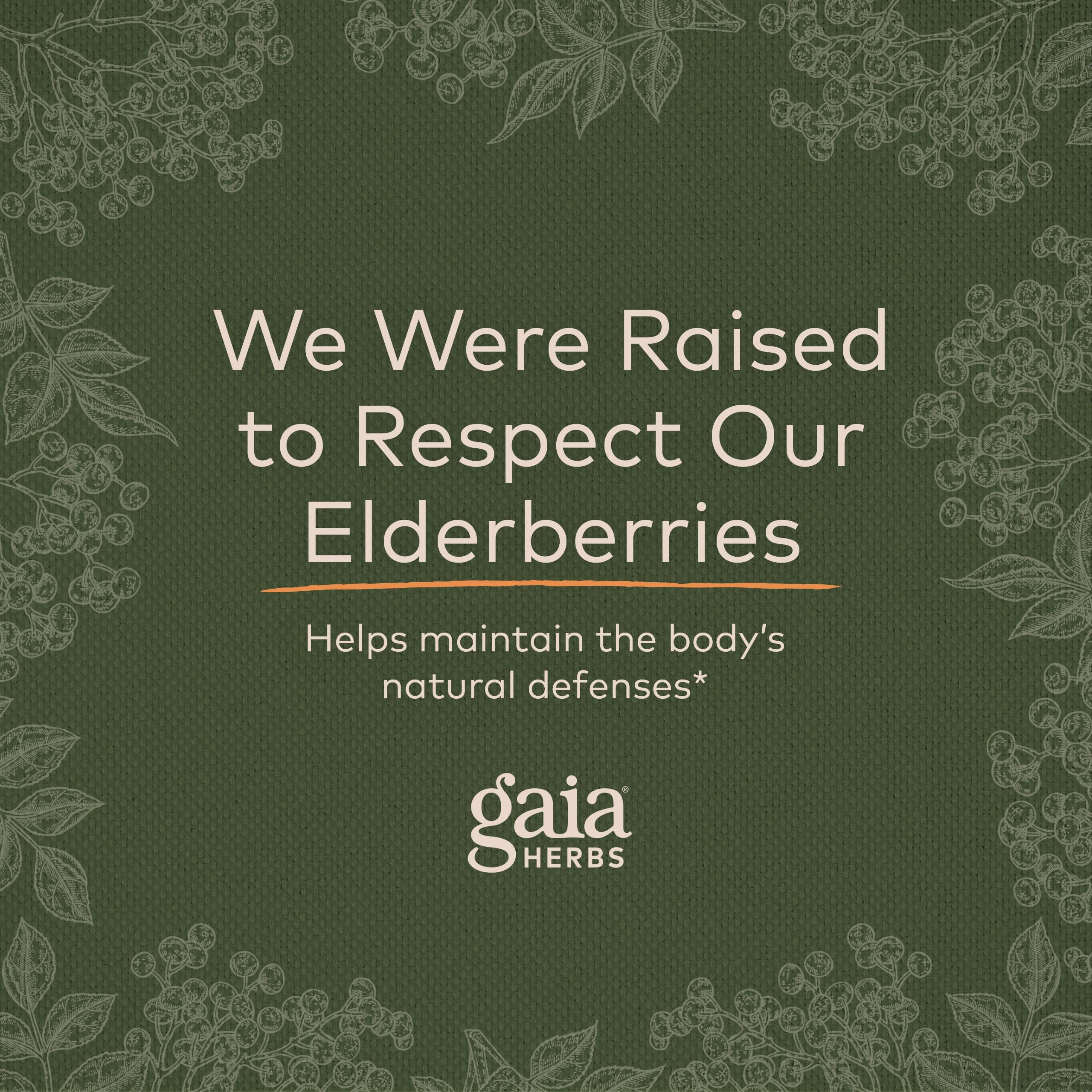 Foto 6 | Suplemento Gaia Herbs Black Elderberry 120 Cápsulas Veganas - Venta Internacional.