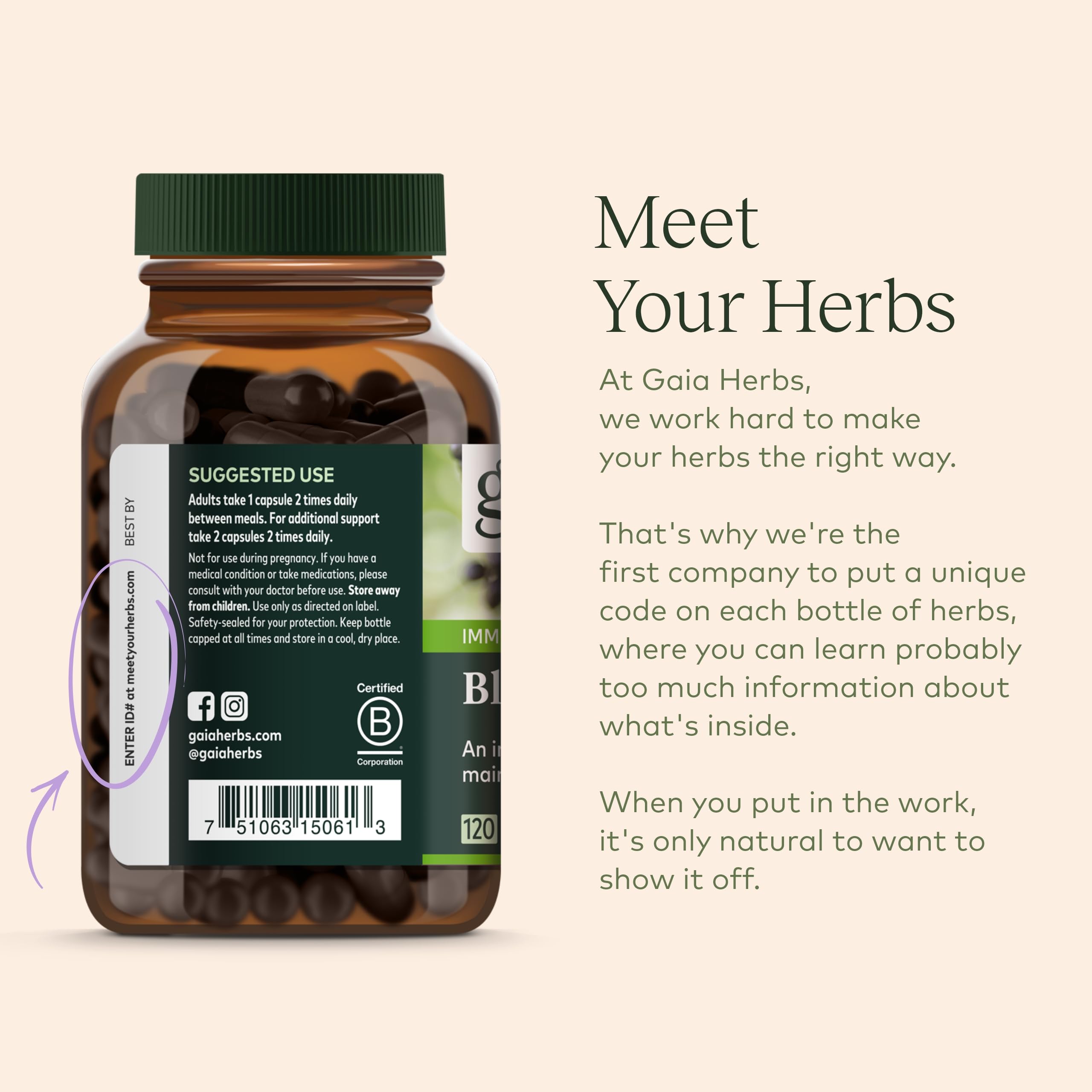 Foto 7 | Suplemento Gaia Herbs Black Elderberry 120 Cápsulas Veganas - Venta Internacional.
