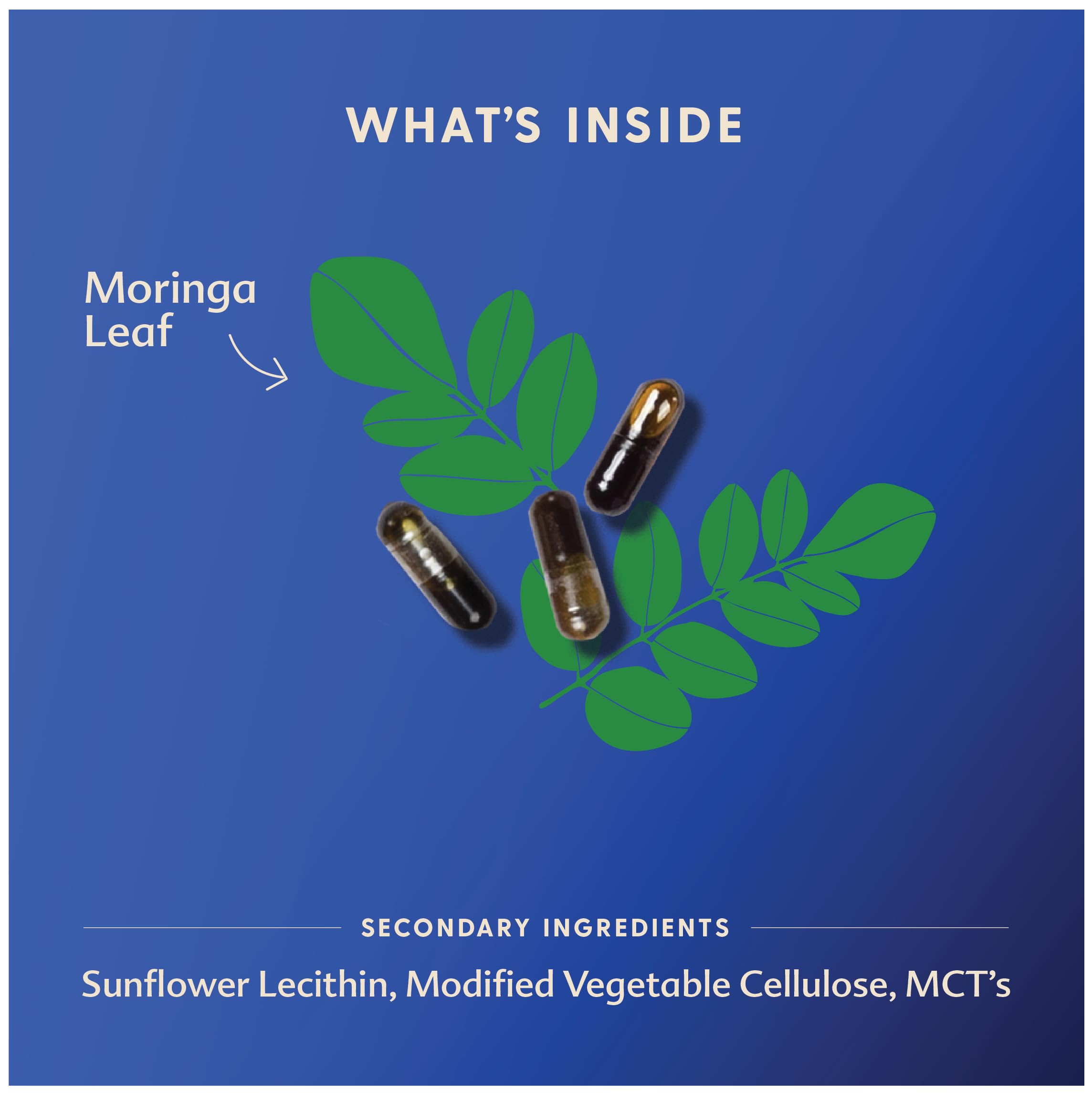 Foto 4 | Suplemento De Lactancia Motherlove Moringa 60 Cápsulas Líquidas - Venta Internacional.
