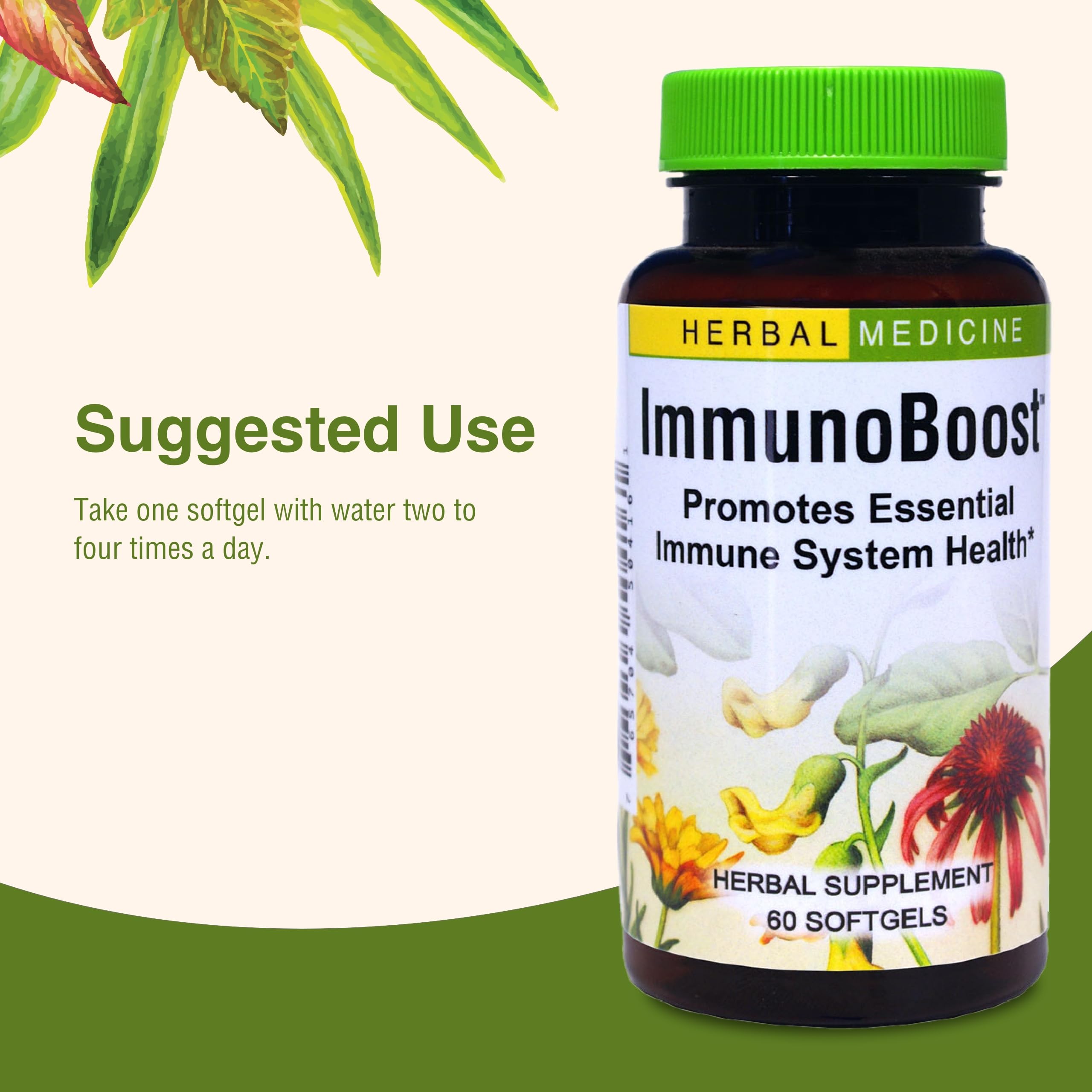 Foto 6 | Hierbas Suplementarias, Etc. Immunoboost, Sistema Inmunológico, 60 Cápsulas Blandas - Venta Internacional.
