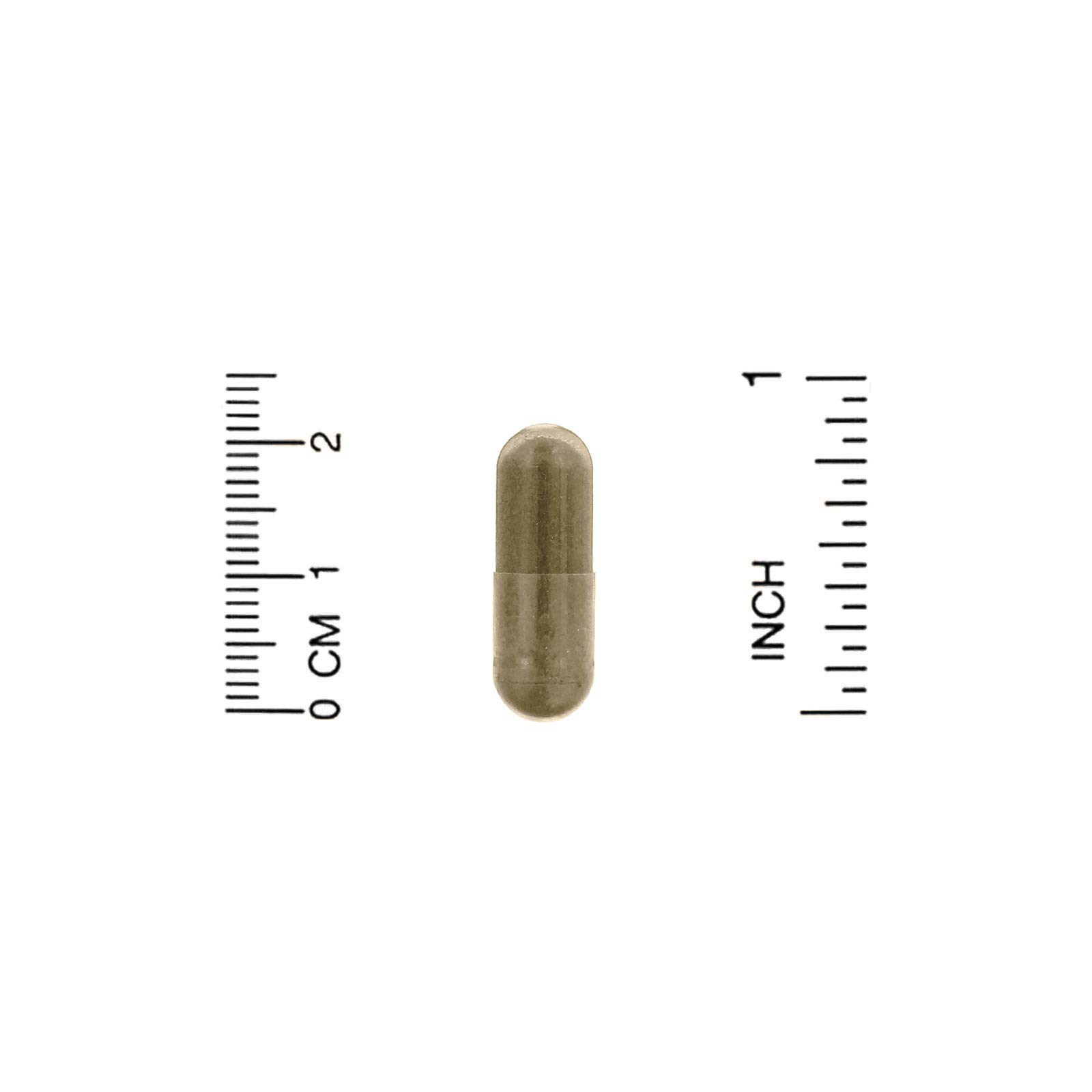 Foto 4 pulgar | Complemente Dr. Mercola Purple Defense Con Resveratrol 90 Cápsulas - Venta Internacional.