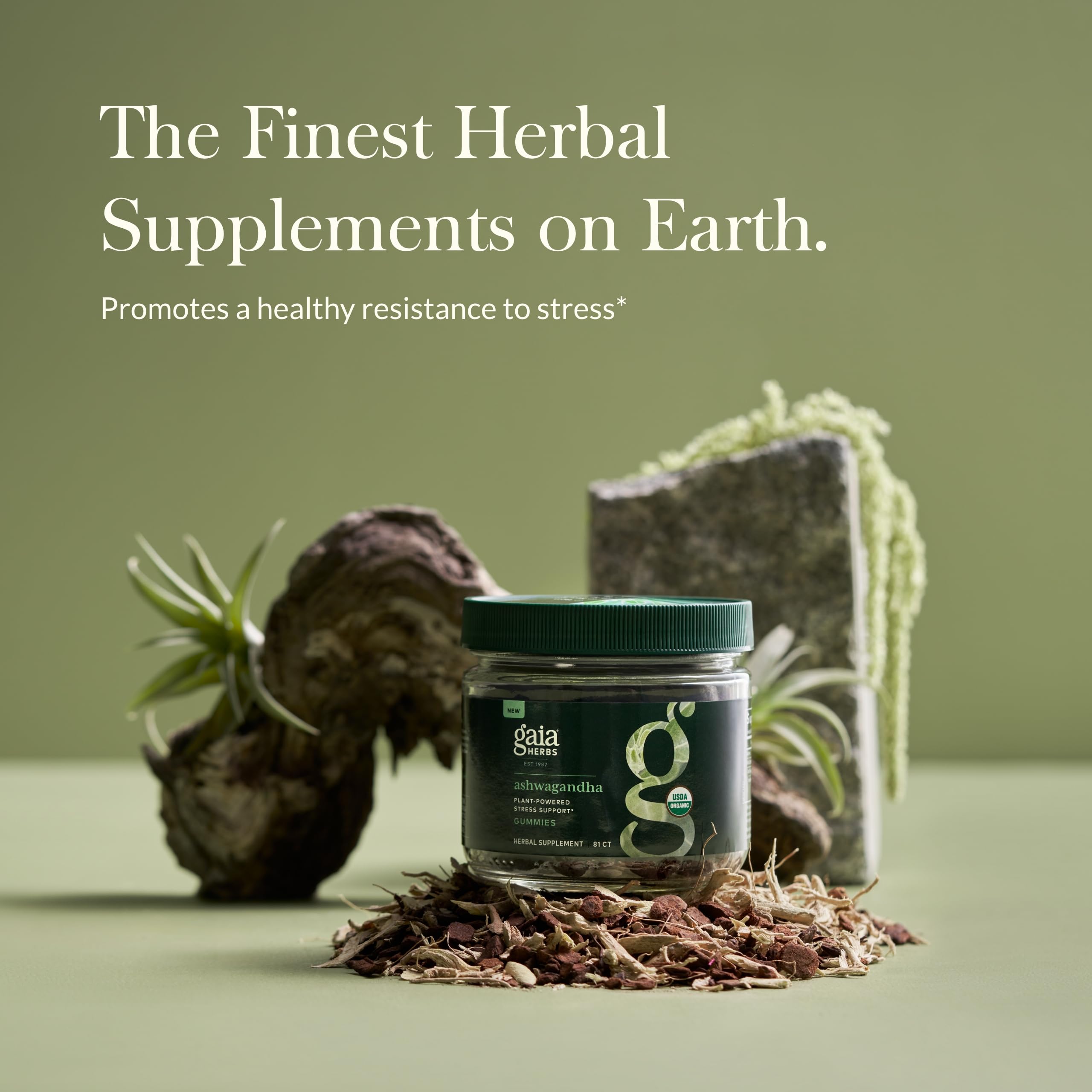 Foto 4 pulgar | Gummies Gaia Herbs Organic Ashwagandha Para Aliviar El Estrés, 81 Unidades - Venta Internacional.