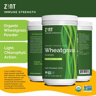 Foto 2 | Hierba De Trigo En Polvo Zint Organic 240 Ml Para Apoyar El Sistema Inmunitario - Venta Internacional.