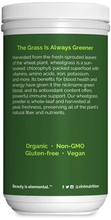 Foto 4 | Hierba De Trigo En Polvo Zint Organic 240 Ml Para Apoyar El Sistema Inmunitario - Venta Internacional.