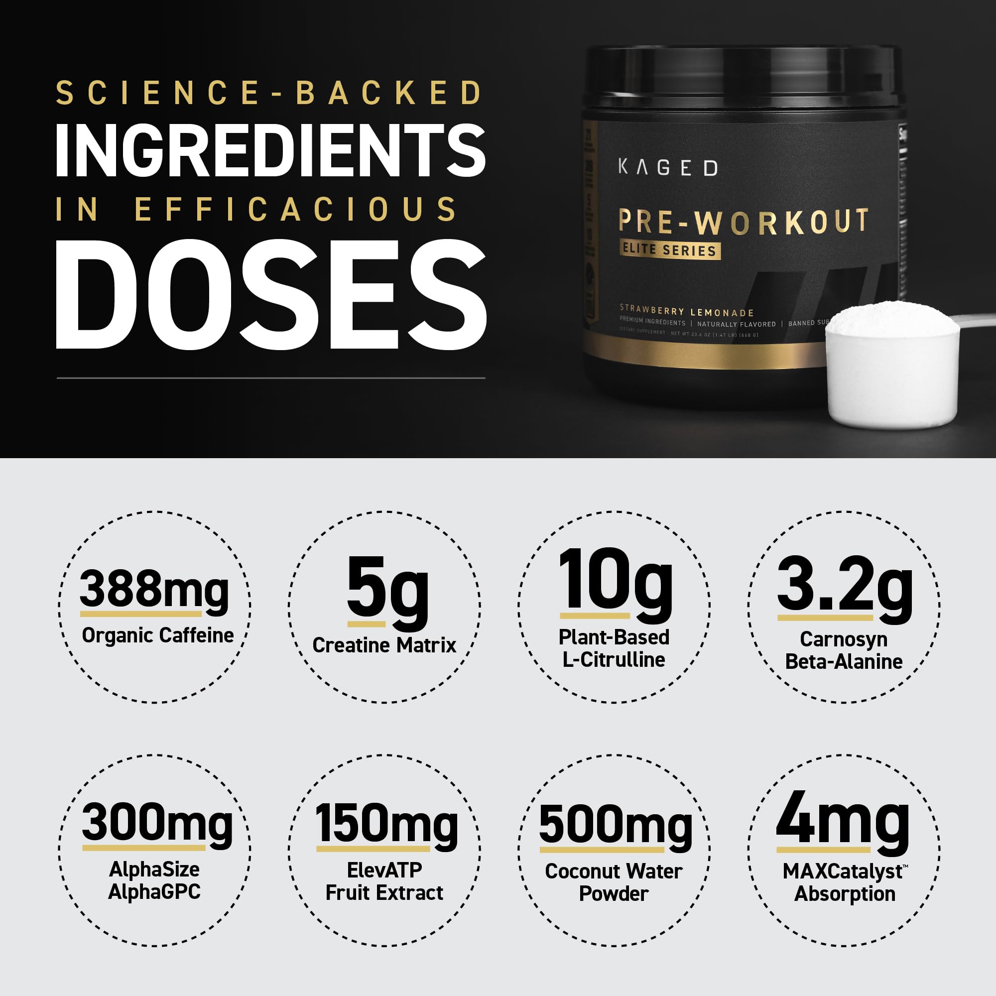 Foto 5 pulgar | Polvo Pre-workout Kaged Pre-workout Elite- Venta Internacional
