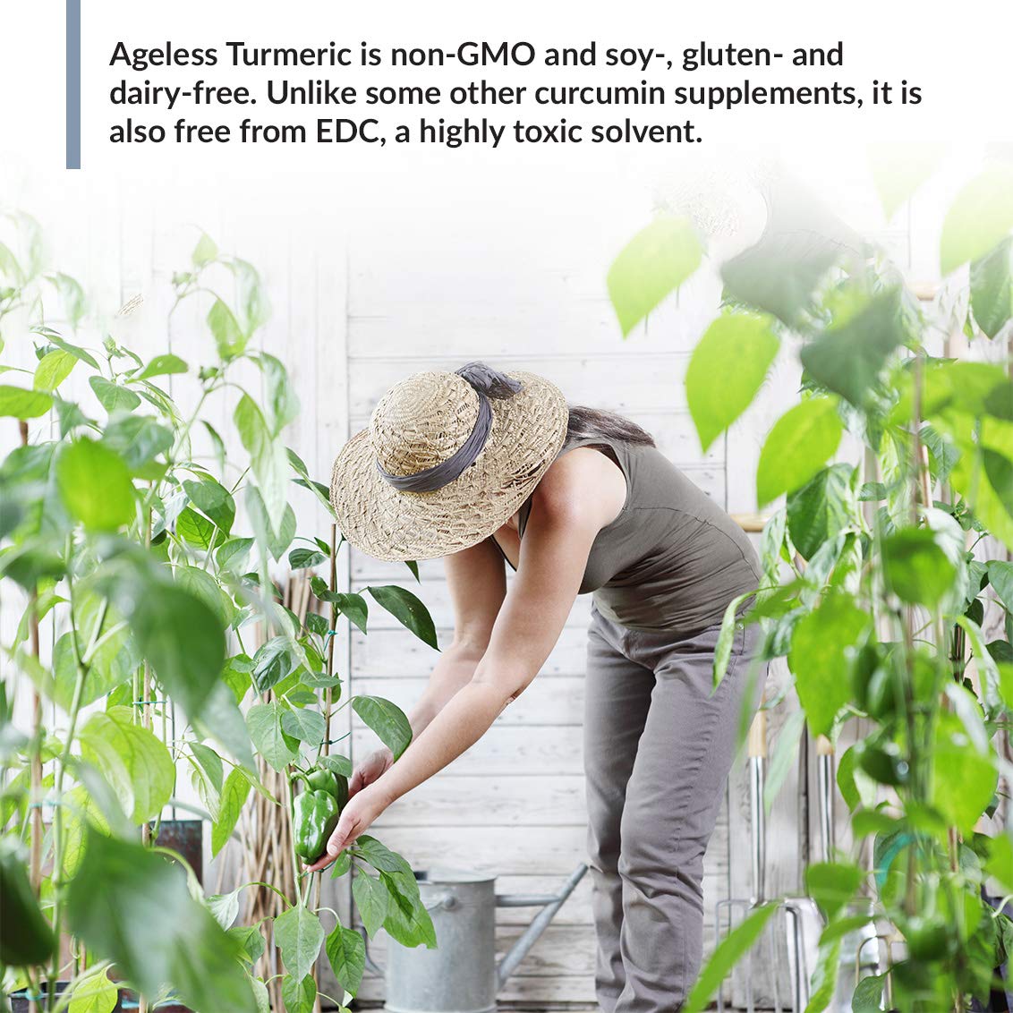 Foto 5 | Suplemento De Cúrcuma Biotrust Ageless Turmeric Curcuwin - Venta Internacional.