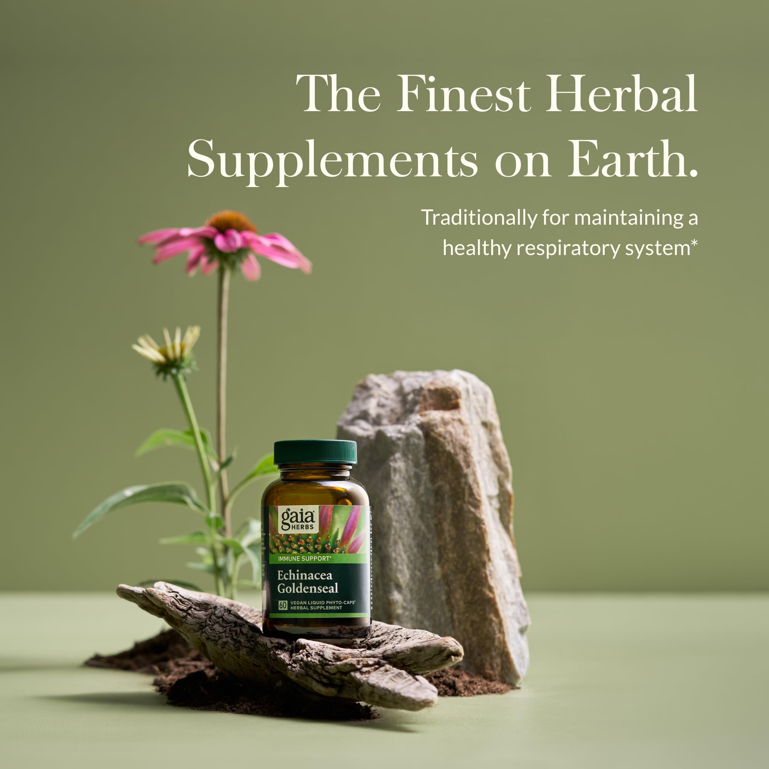 Foto 4 pulgar | Suplemento Gaia Herbs Echinacea Goldenseal 60 Cápsulas Veganas - Venta Internacional.