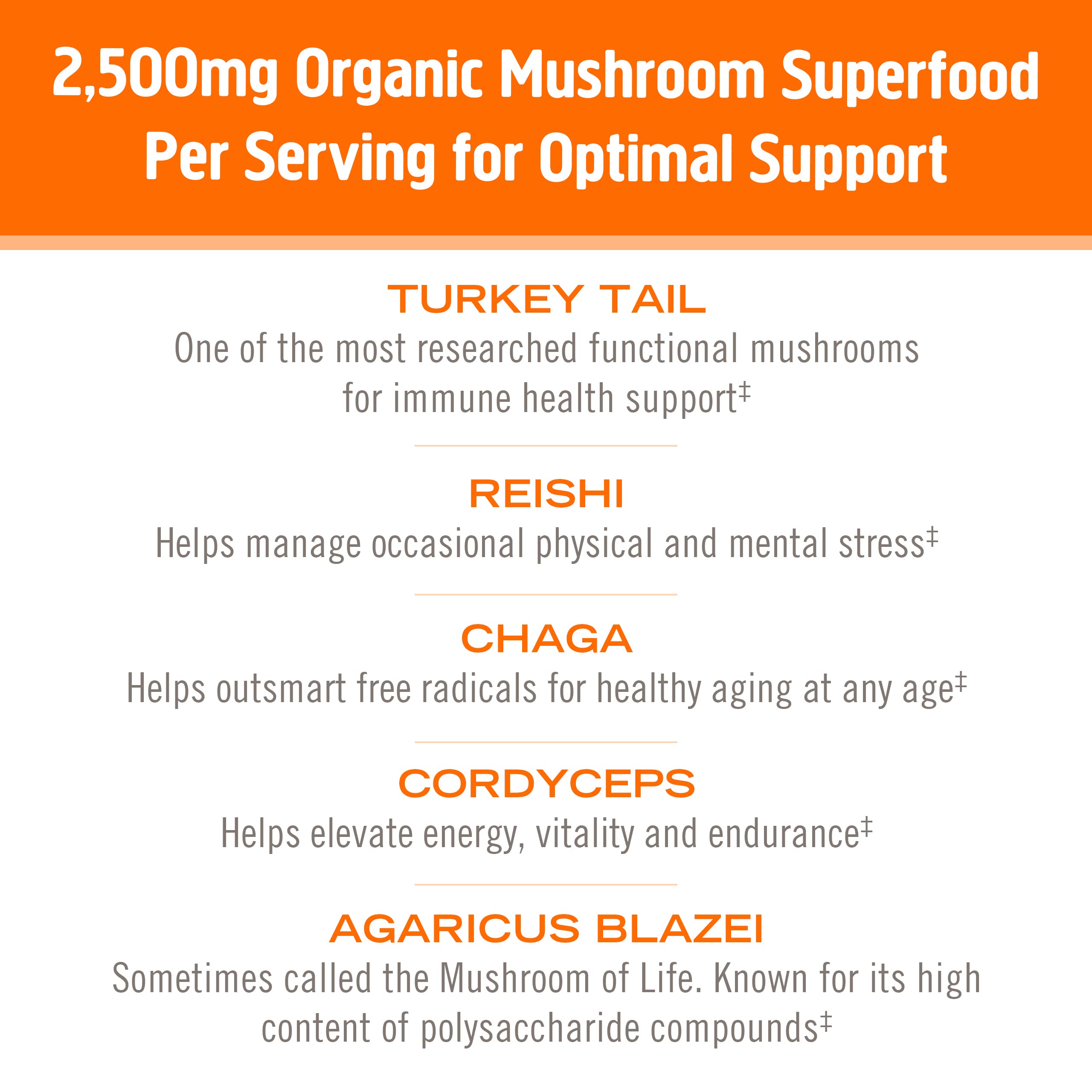 Foto 6 pulgar | Suplemento Om Mushroom Superfood Immune Multi Boost, Paquete De 10 - Venta Internacional.