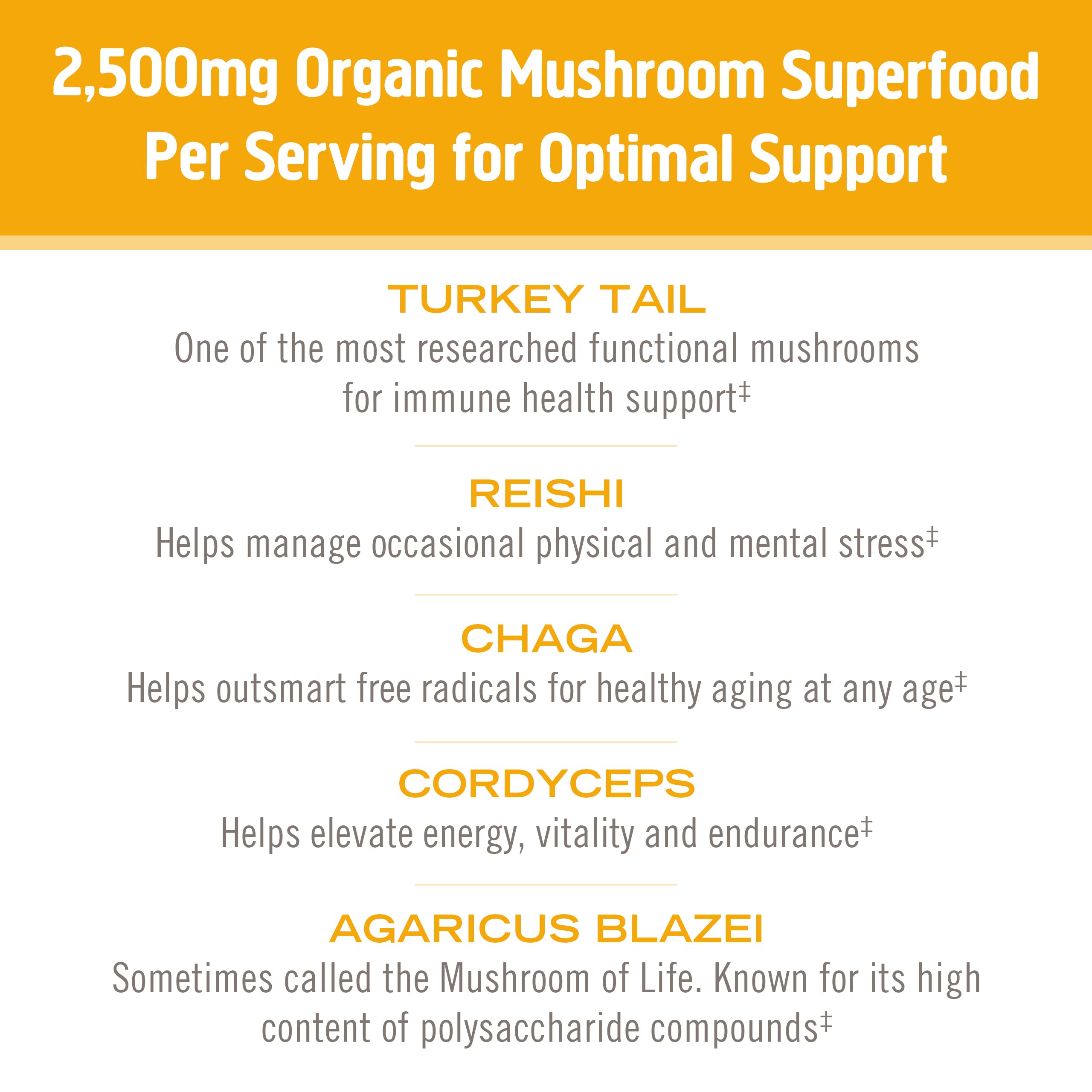 Foto 6 pulgar | Suplemento Om Mushroom Superfood Immune Multi Boost, Paquete De 10 - Venta Internacional.