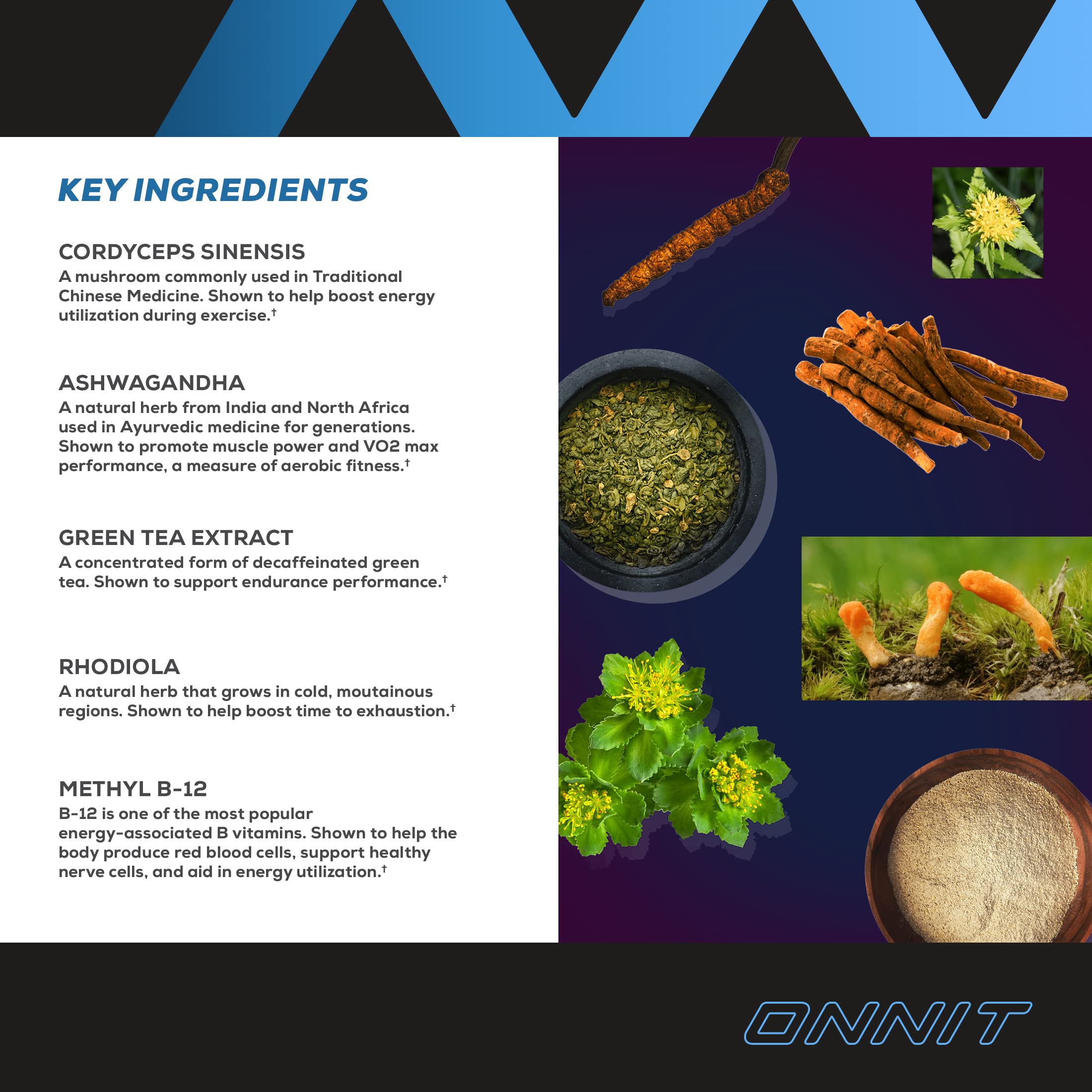 Foto 3 | Suplemento Preentrenamiento Onnit Shroom Tech Sport 28 Unidades - Venta Internacional.