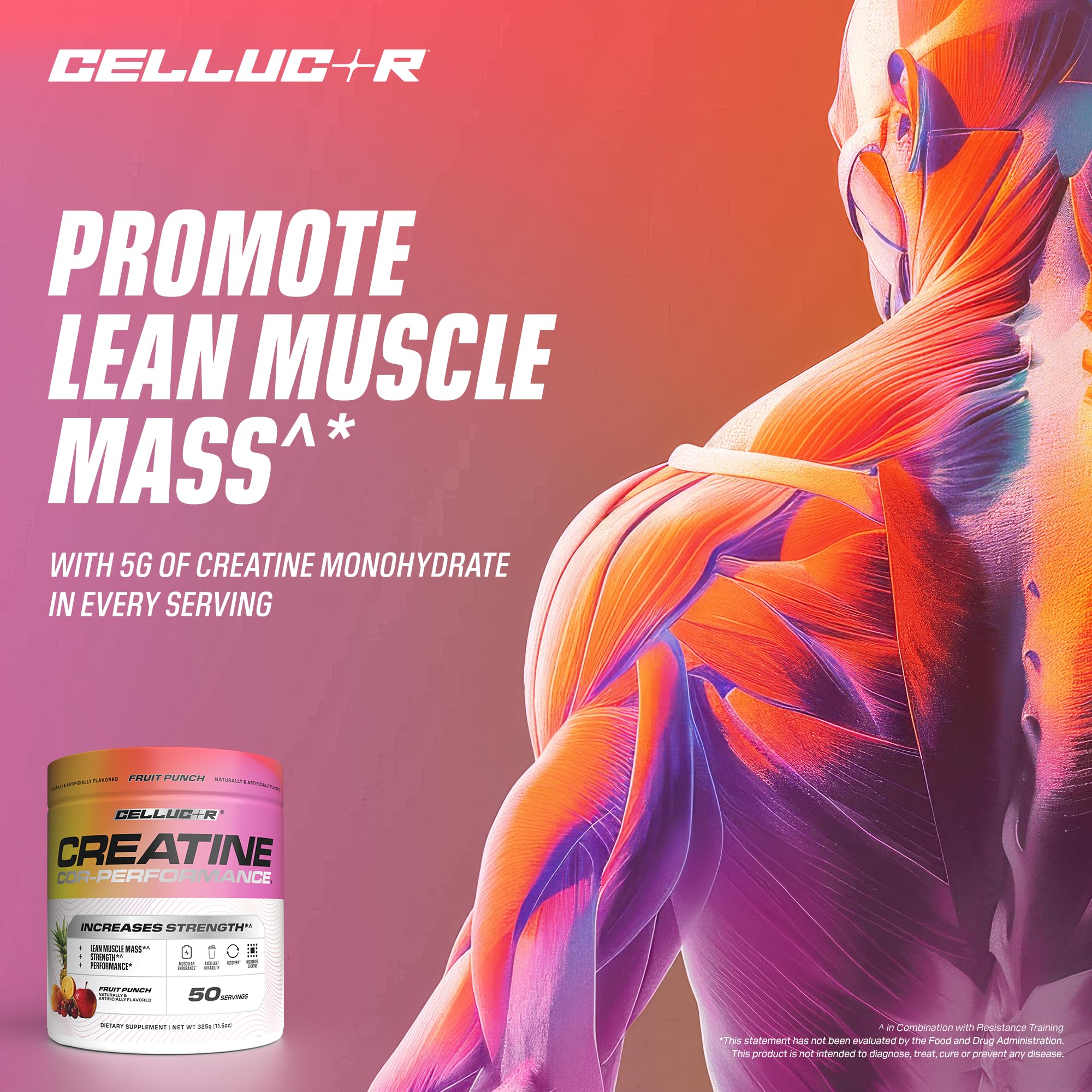 Foto 6 pulgar | Creatina En Polvo Cellucor Fruit Punch Flavor 250 G 50 Porciones - Venta Internacional.