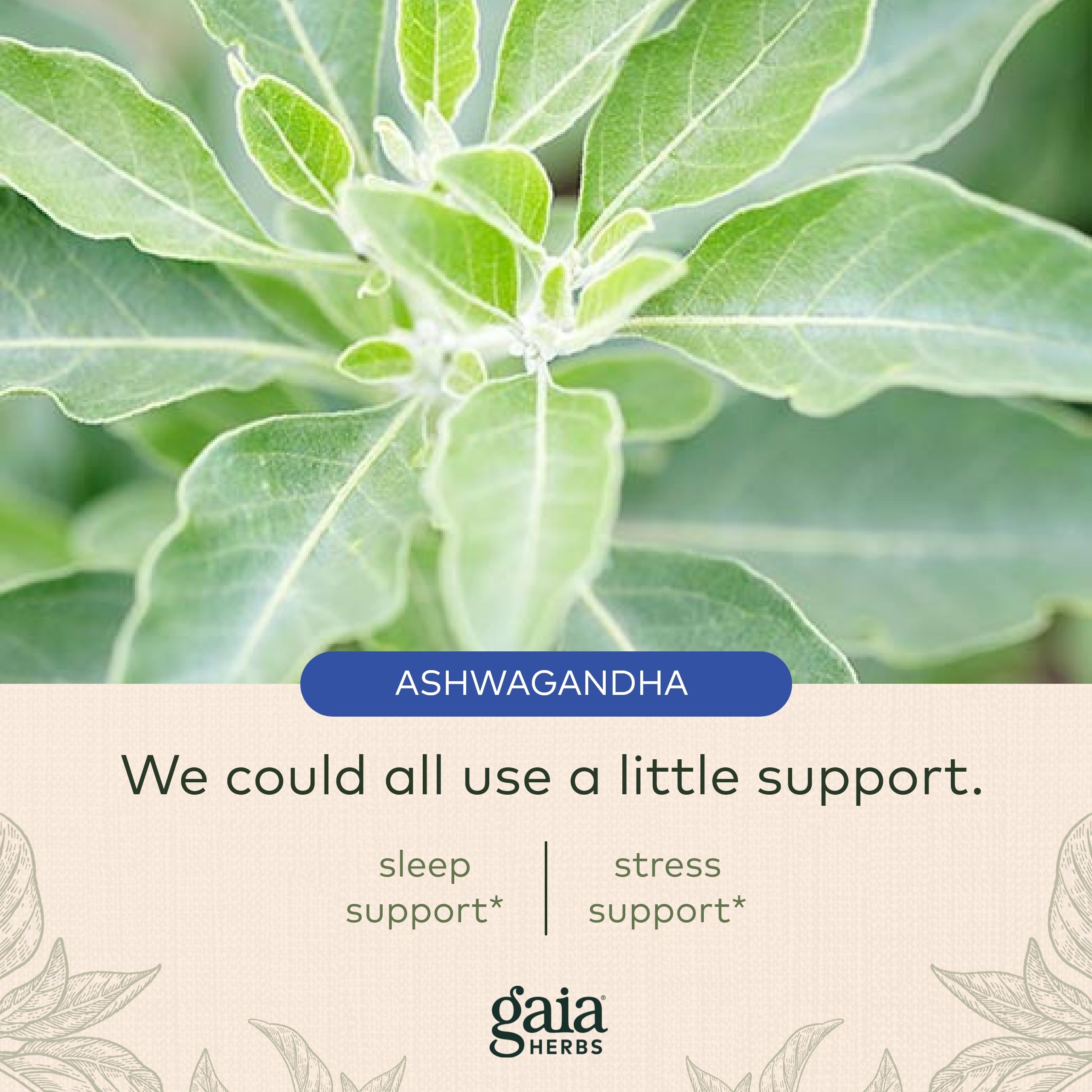 Foto 5 | Suplemento Gaia Herbs Sleepthru Natural Sleep Support 120 Cápsulas - Venta Internacional.