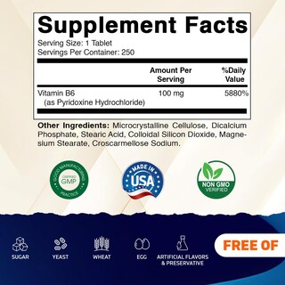 Foto 2 | Suplemento Vitamático De Vitamina B6 100 Mg 250 Comprimidos Vegetariano - Venta Internacional.