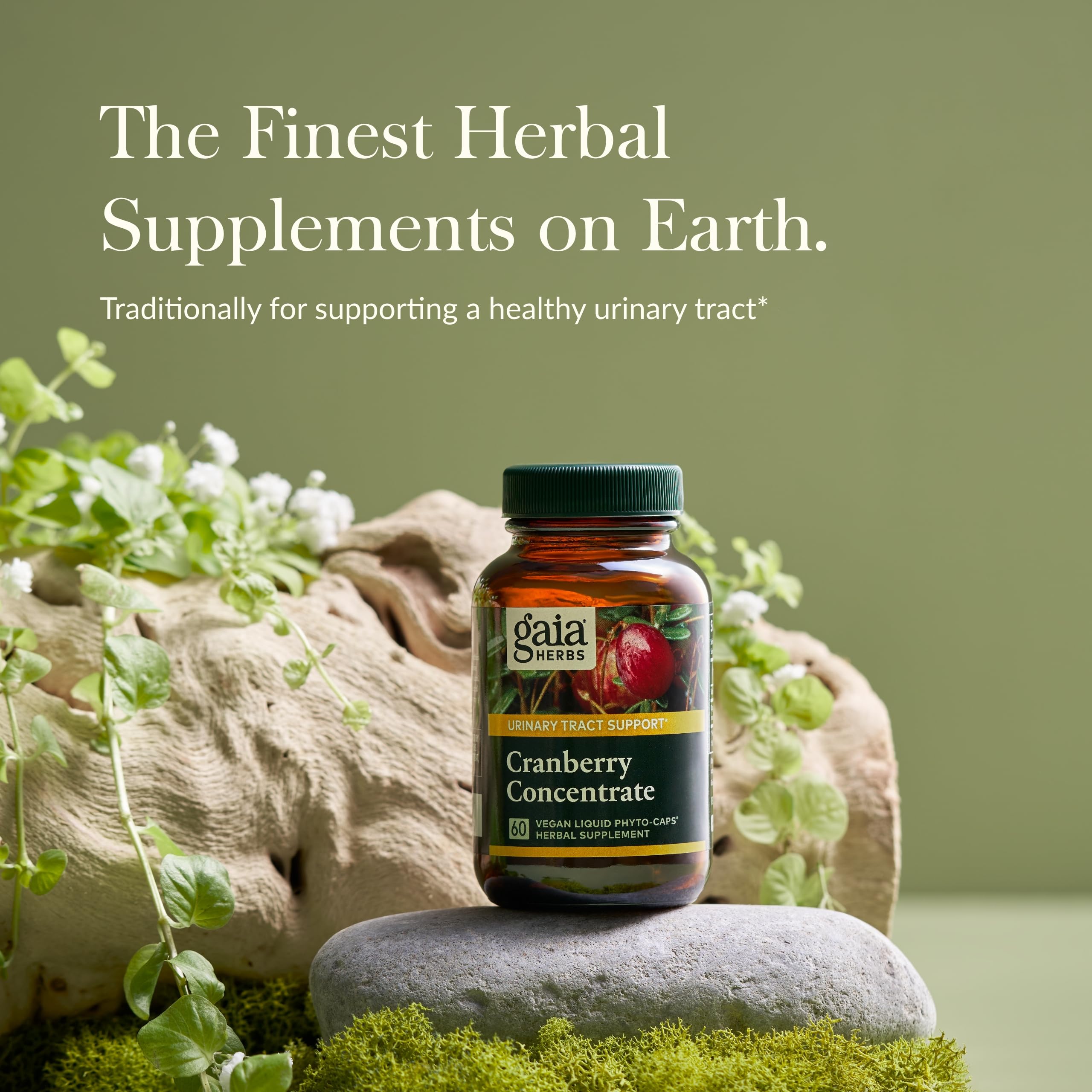 Foto 4 pulgar | Suplemento Gaia Herbs Concentrado De Arándanos, 60 Cápsulas Veganas - Venta Internacional.