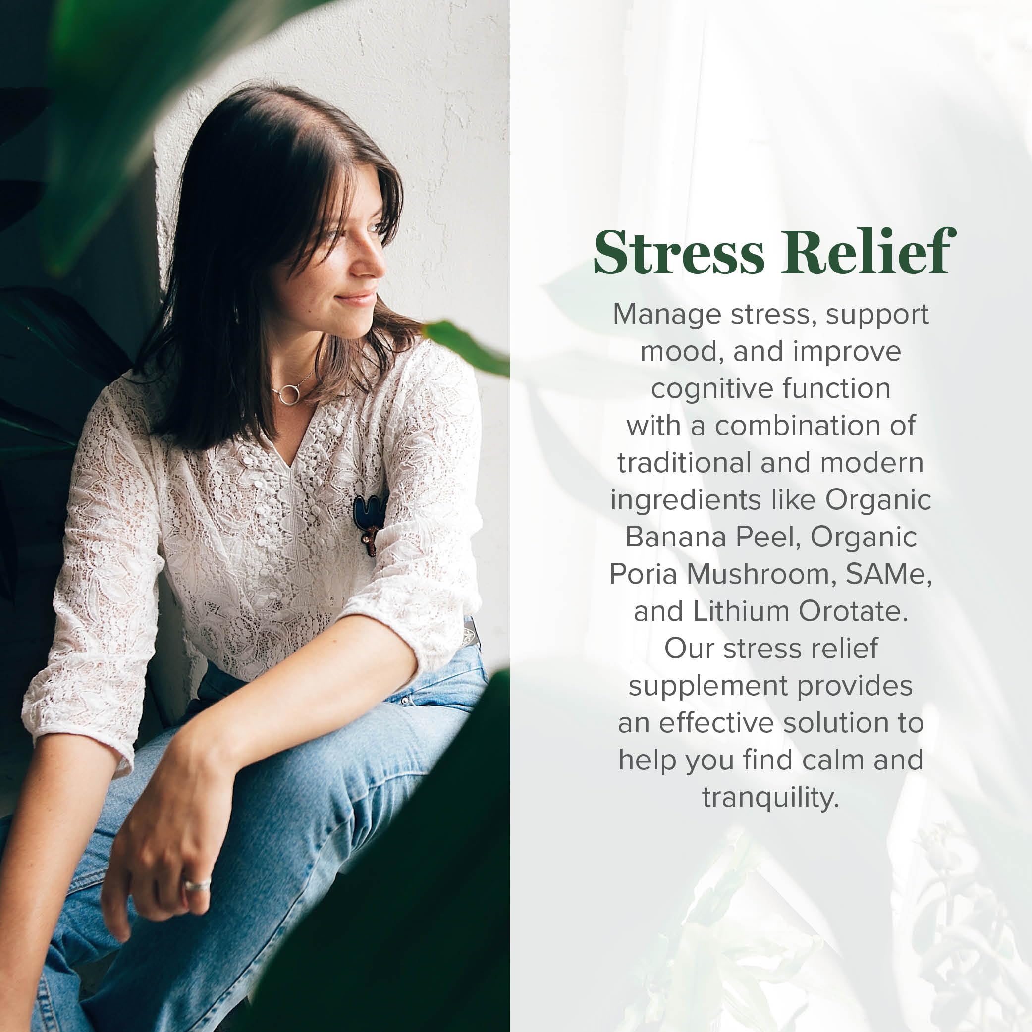 Foto 5 pulgar | Suplemento Global Healing Center Stress Relief Con Litio 120 Cápsulas - Venta Internacional.