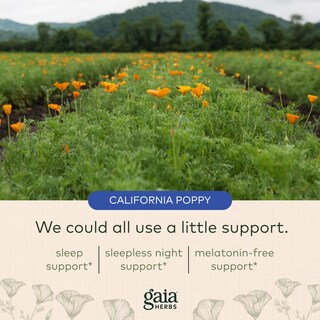Foto 5 | Suplemento De Apoyo Para Dormir Gaia Herbs Sound Sleep 120 Cápsulas - Venta Internacional.