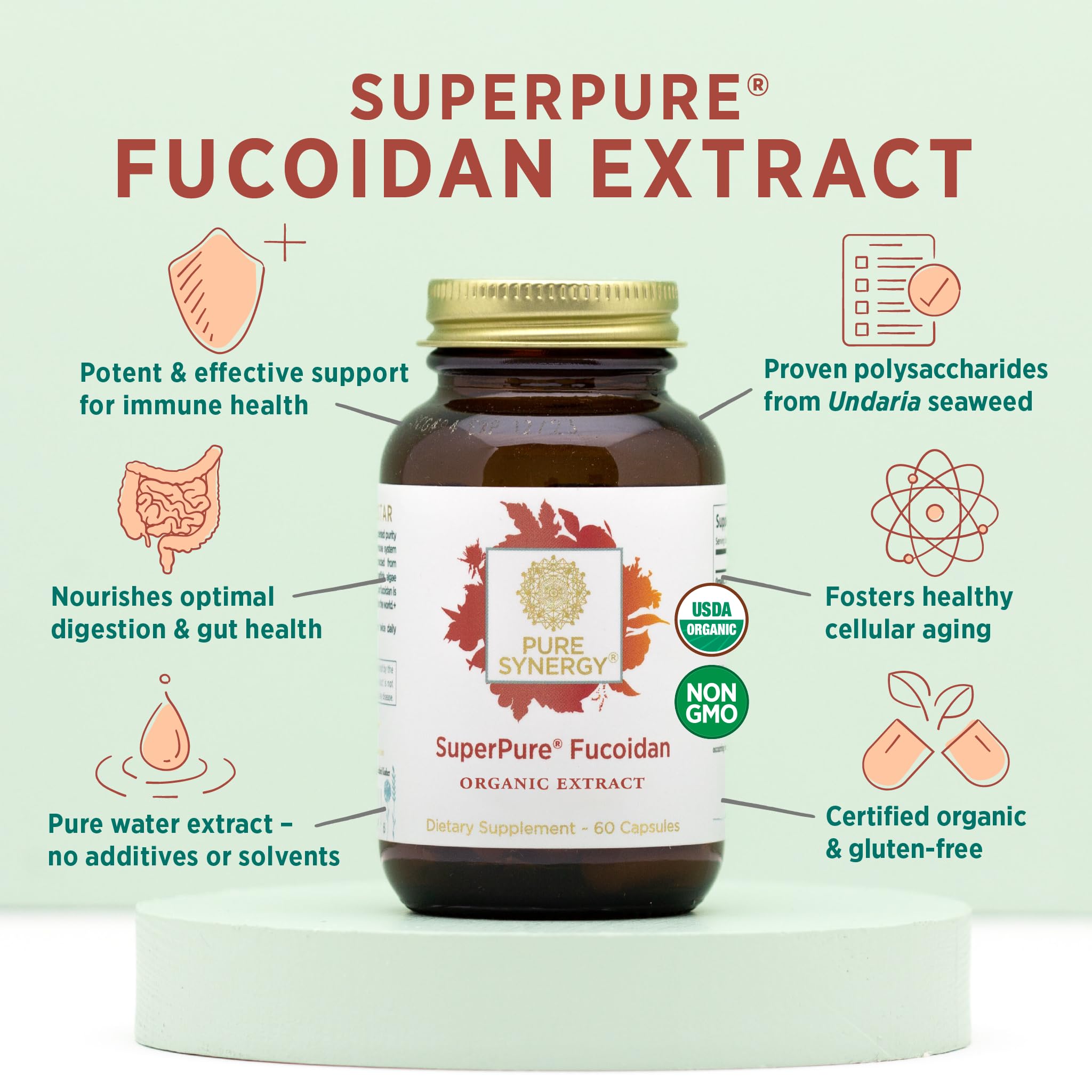 Foto 4 pulgar | Suplemento Pure Synergy Superpure Fucoidan Extract 60 Cápsulas - Venta Internacional.
