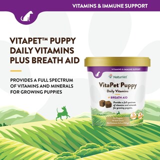 Foto 3 | Vitaminas Para Perros Naturvet Vitapet Puppy Daily 70 Soft Chews - Venta Internacional.