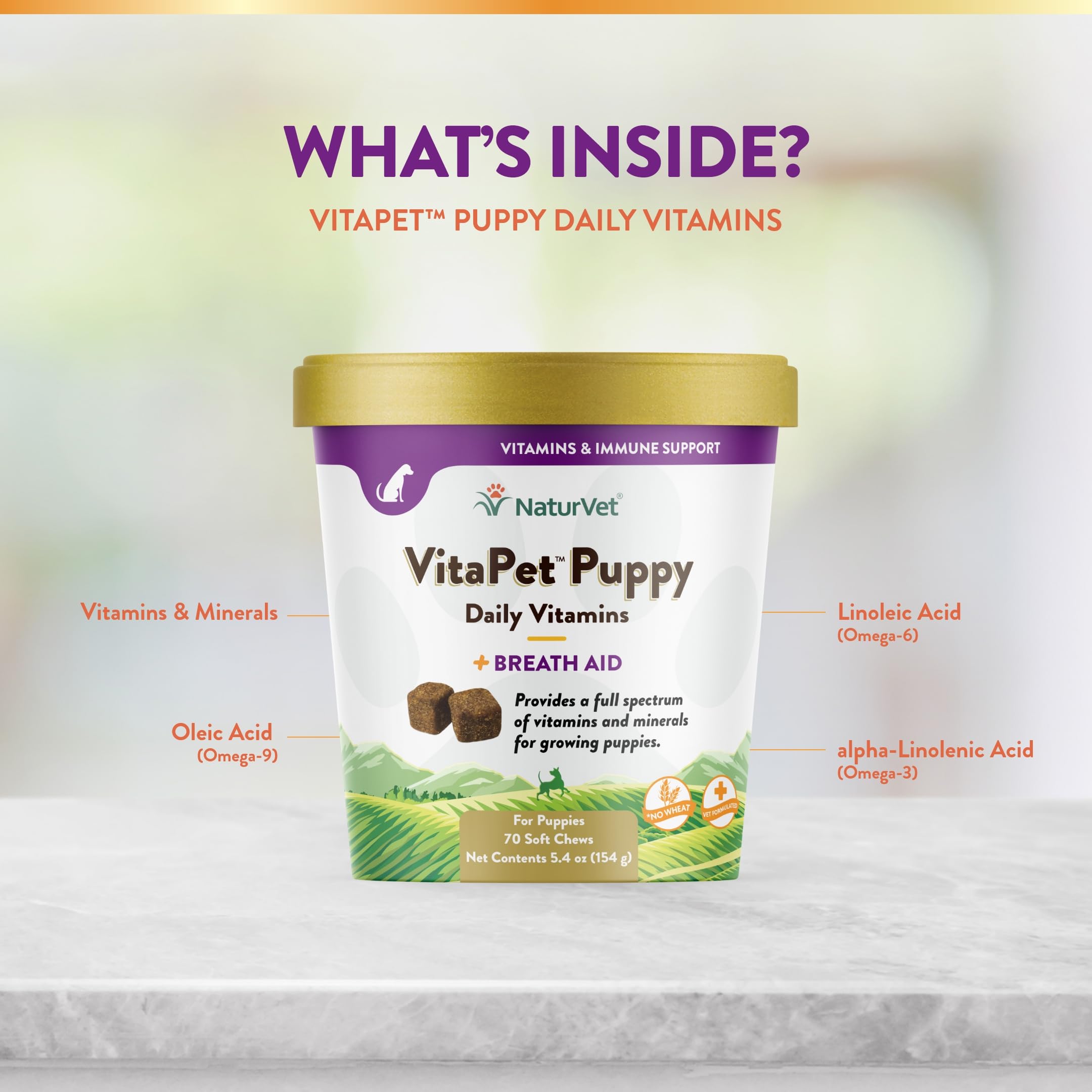 Foto 6 pulgar | Vitaminas Para Perros Naturvet Vitapet Puppy Daily 70 Soft Chews - Venta Internacional.
