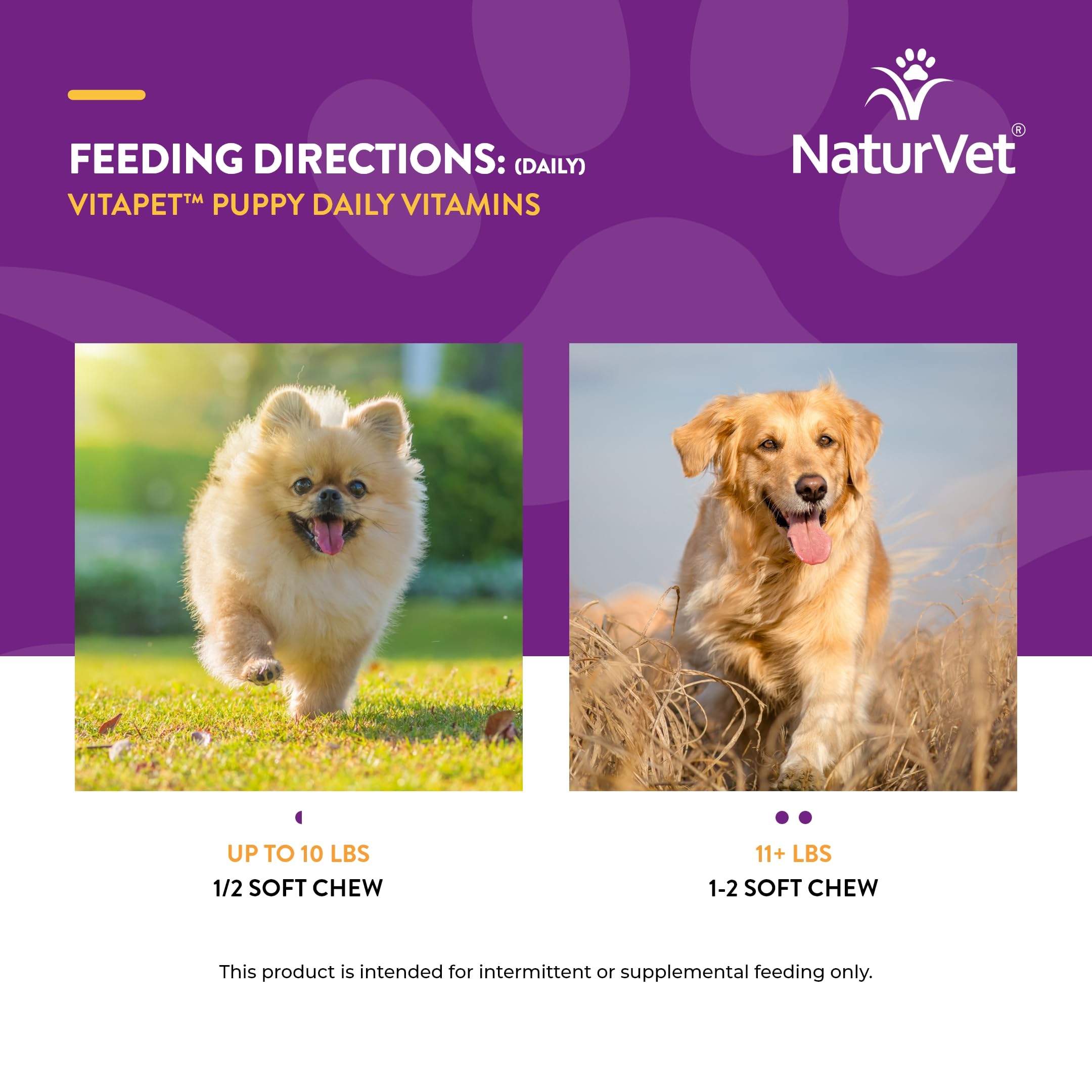 Foto 8 pulgar | Vitaminas Para Perros Naturvet Vitapet Puppy Daily 70 Soft Chews - Venta Internacional.
