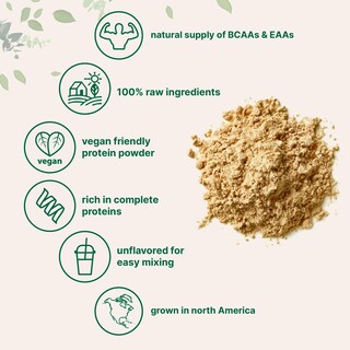 Foto 3 | Proteína Micro Ingredients de Guisante en Polvo Vegana 2.26 Kg - Venta Internacional