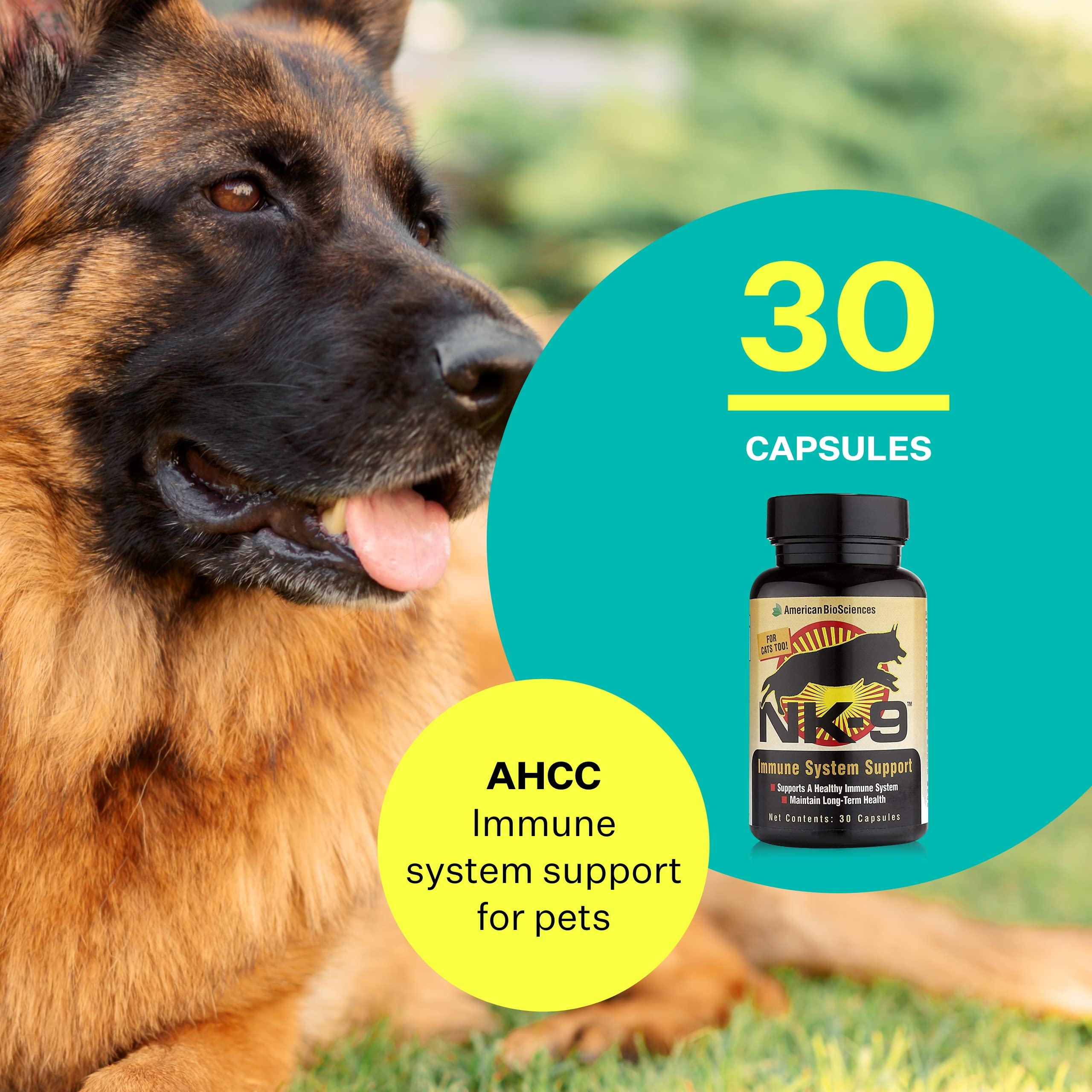 Foto 4 pulgar | Suplemento American Biosciences Nk-9 Ahcc Para Perros Y Gatos - Venta Internacional.