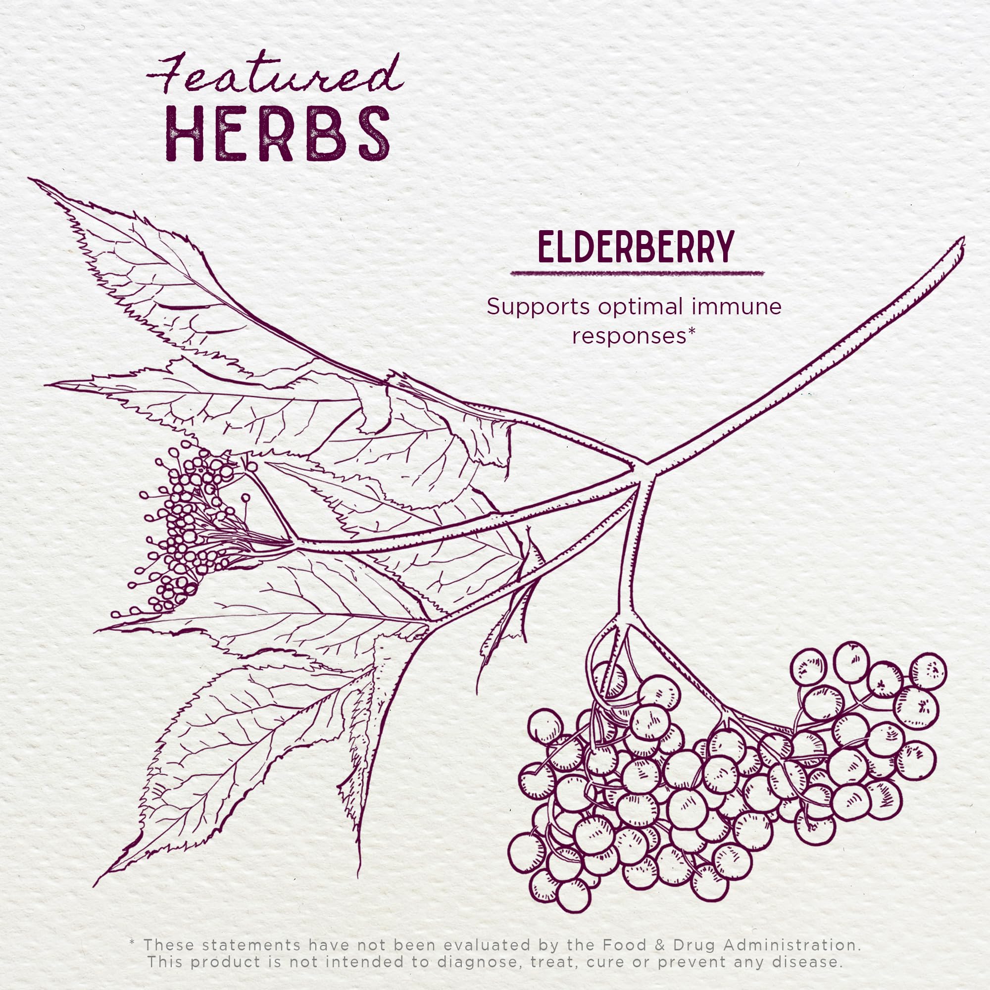 Foto 5 pulgar | Tintura De Saúco Wishgarden Herbs Organic 60 Ml Immune - Venta Internacional.